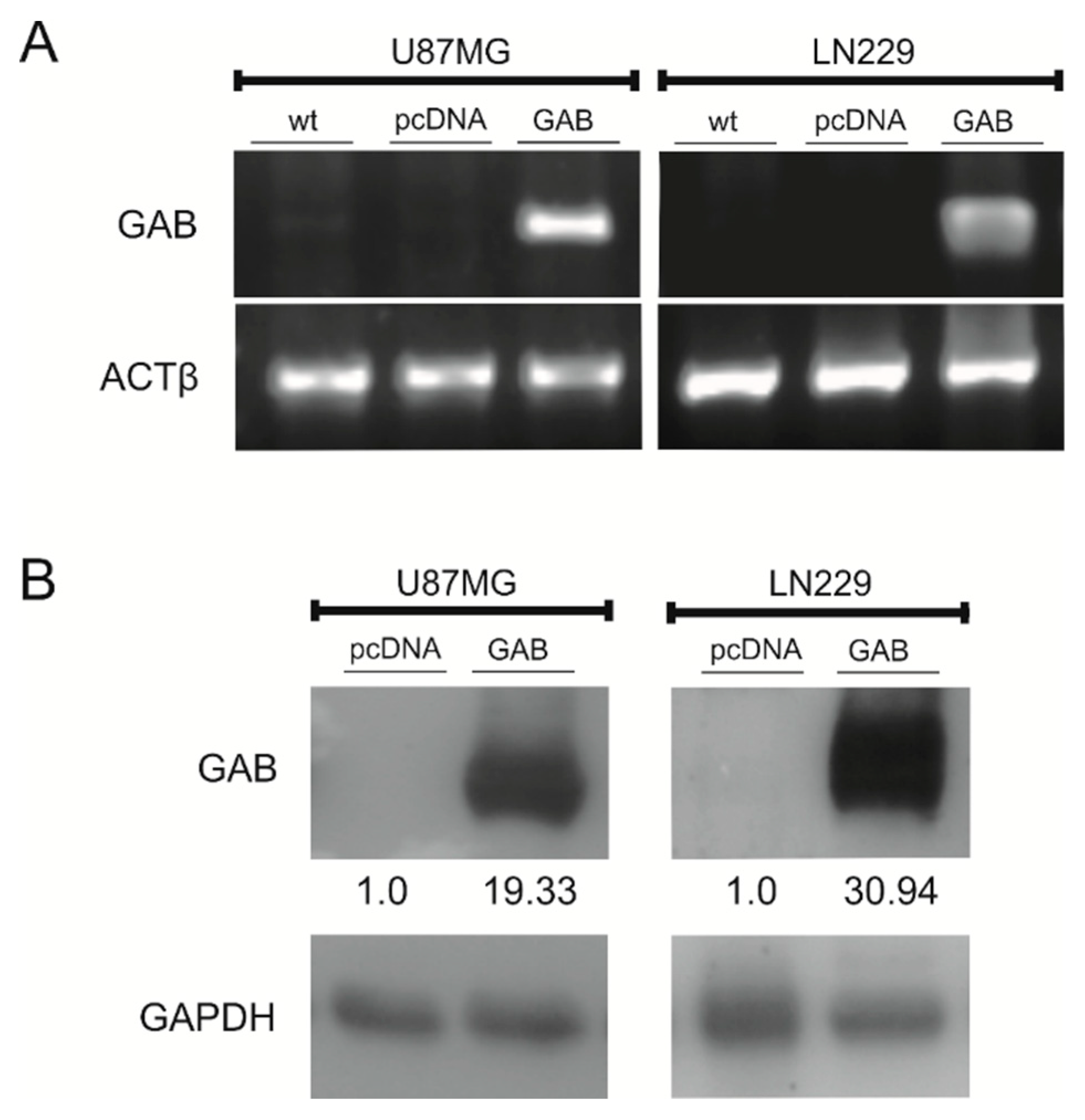 Cancers 11 00115 g001 Cancers 11 00115 g001