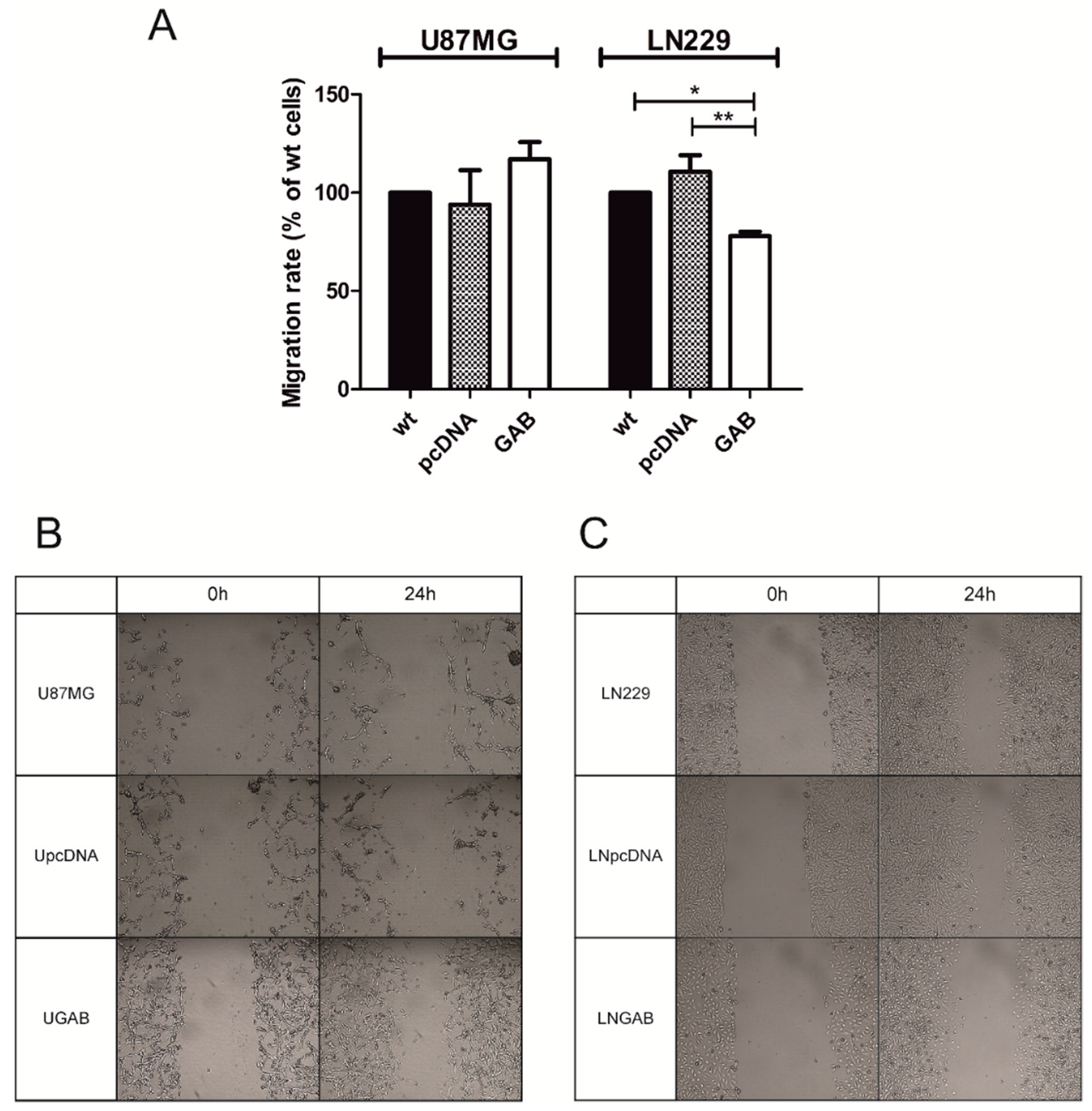Cancers 11 00115 g003 Cancers 11 00115 g003