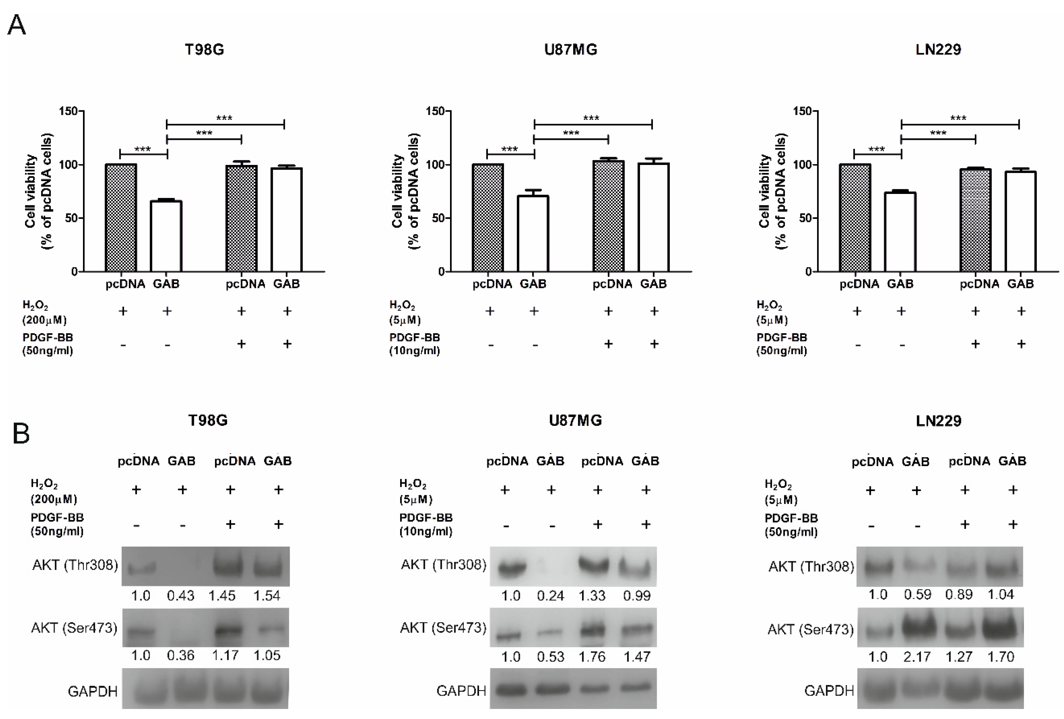 Cancers 11 00115 g007 Cancers 11 00115 g007