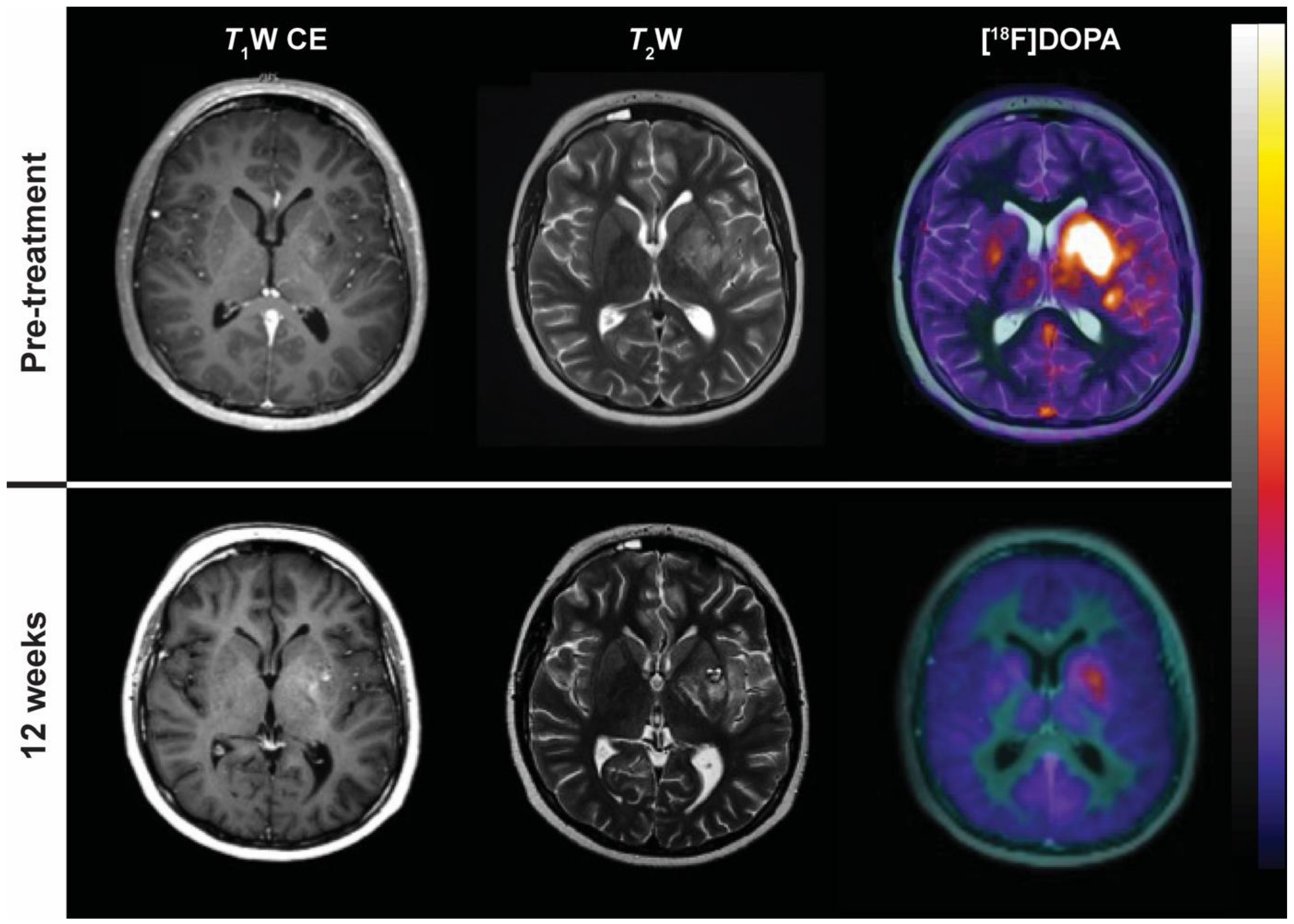 Cancers 11 00131 g007