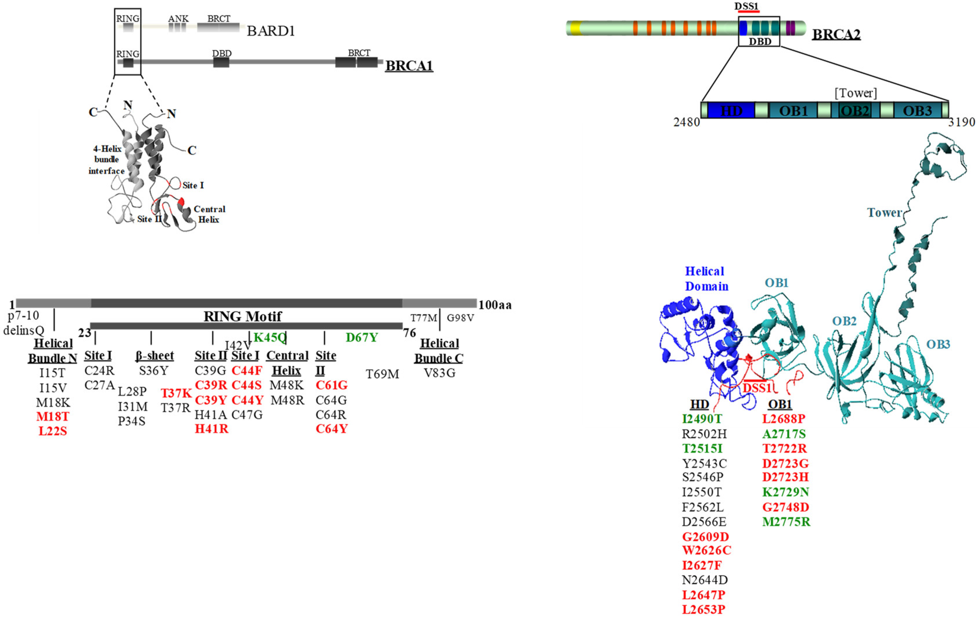 Test 600-101 Prep