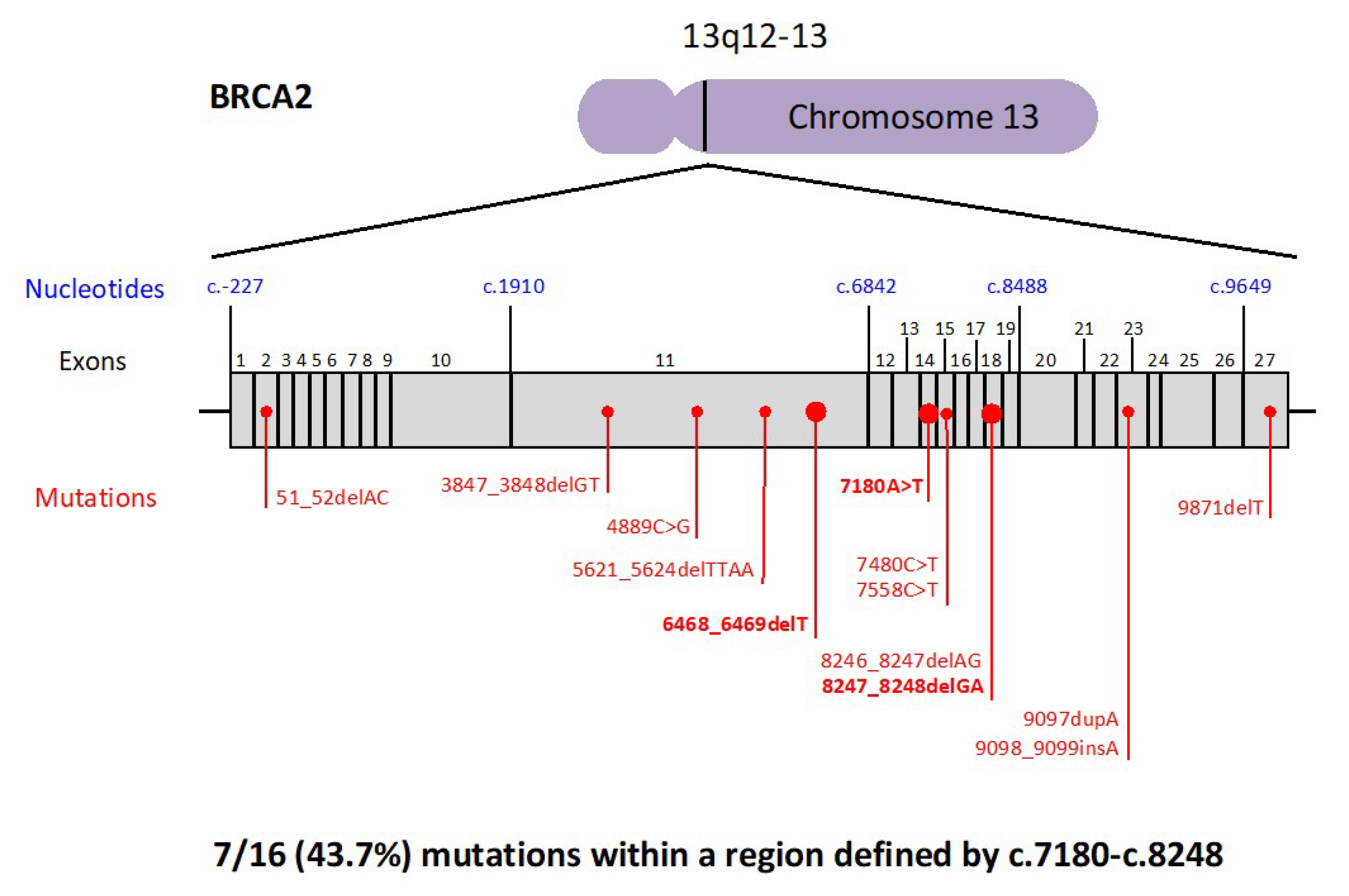 Cancers Free FullText Hereditary Pancreatic Cancer A