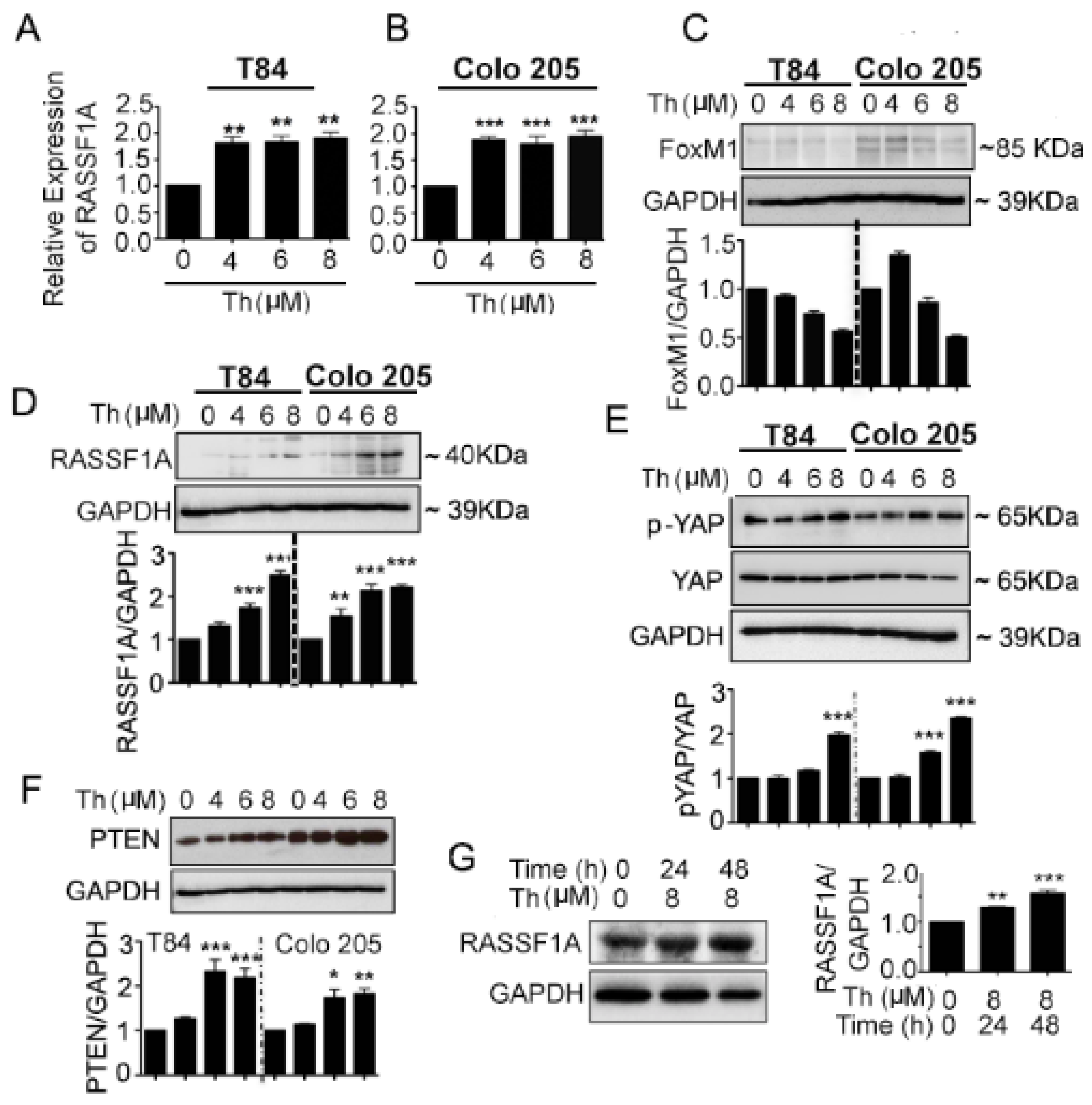 Cancers 11 00199 g005