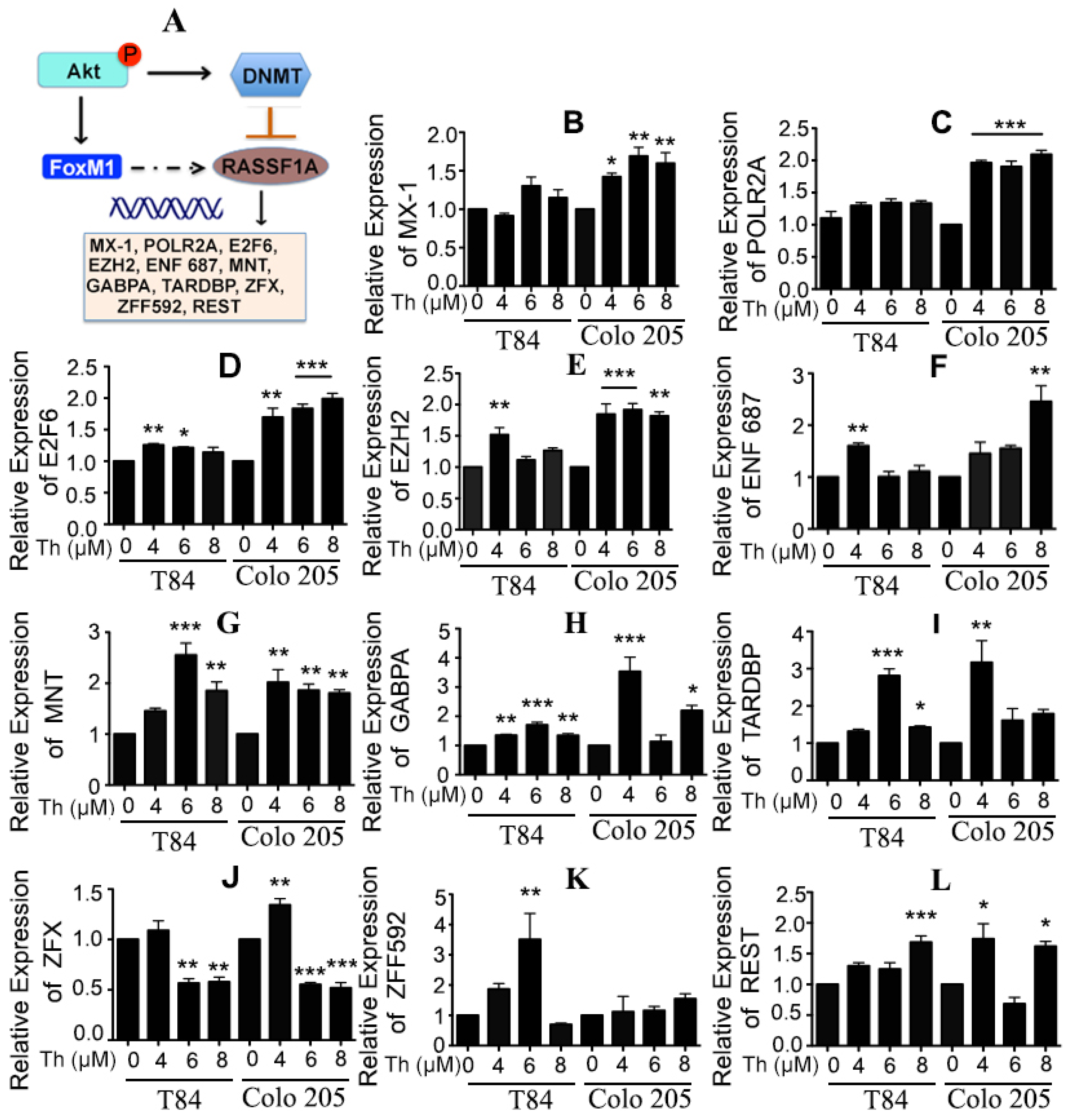 Cancers 11 00199 g007