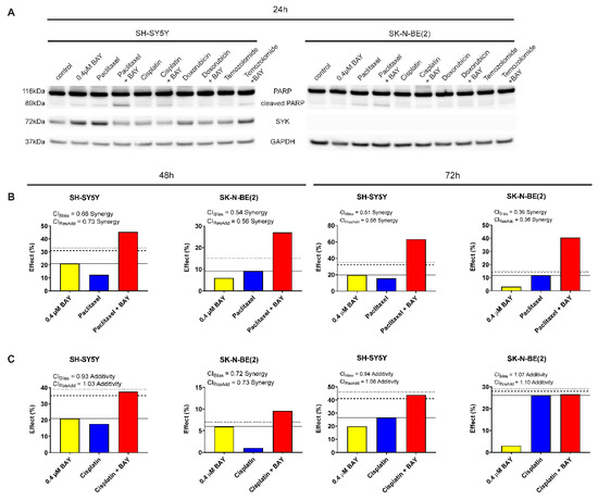 Cancers Free Full Text Syk Inhibition Potentiates The Effect Of Chemotherapeutic Drugs On Neuroblastoma Cells In Vitro Html