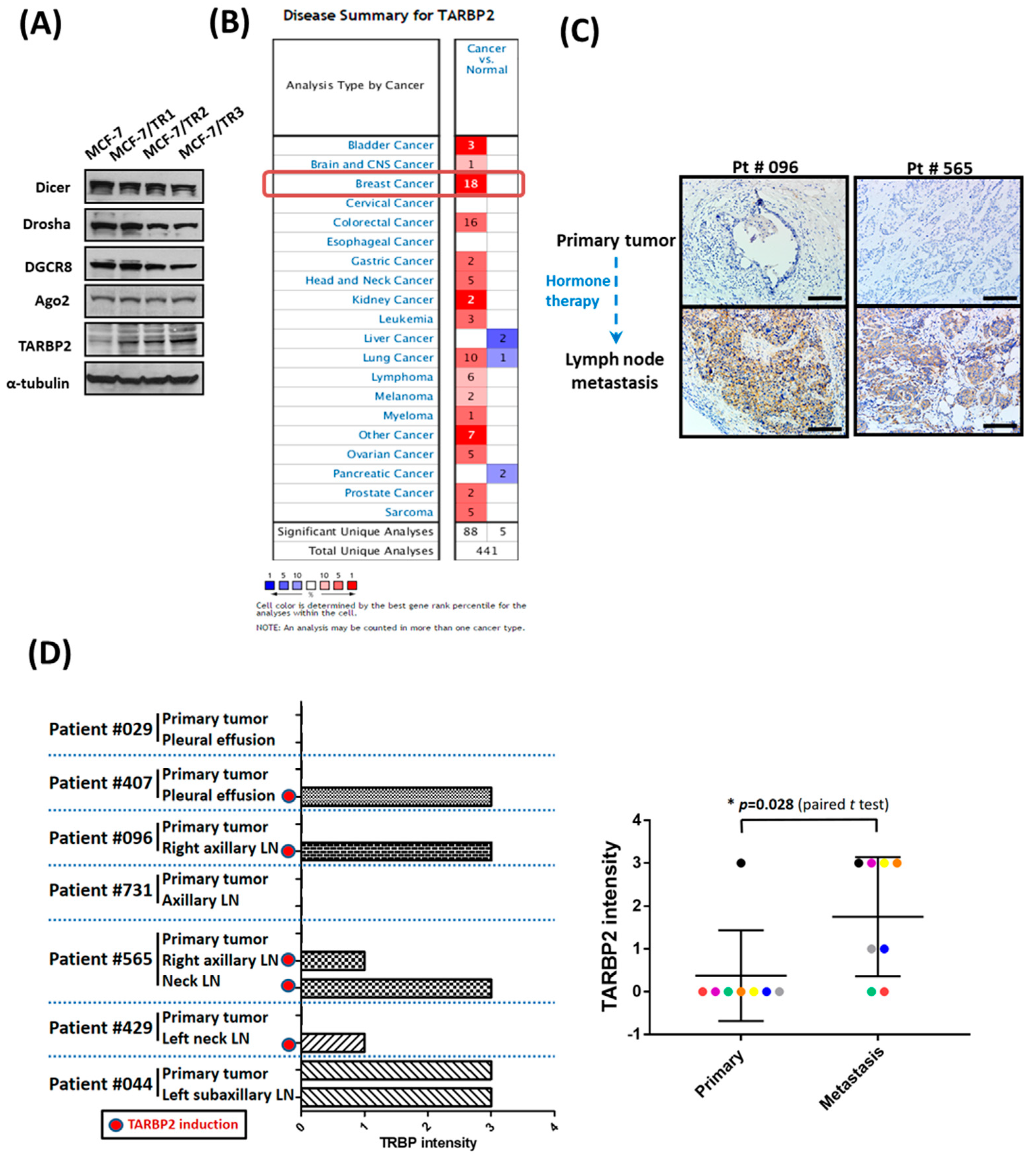 Cancers | Free Full-Text | TARBP2-Enhanced Resistance during 