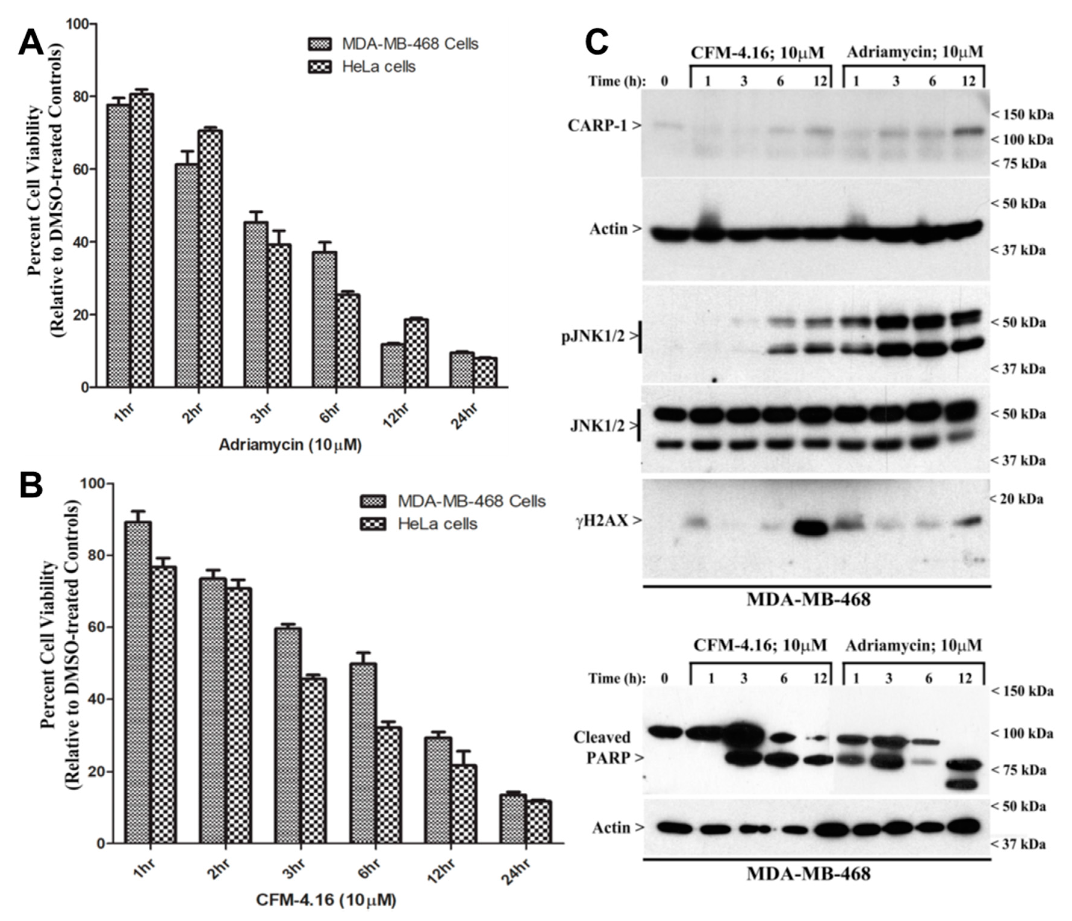 Cancers 11 00221 g001