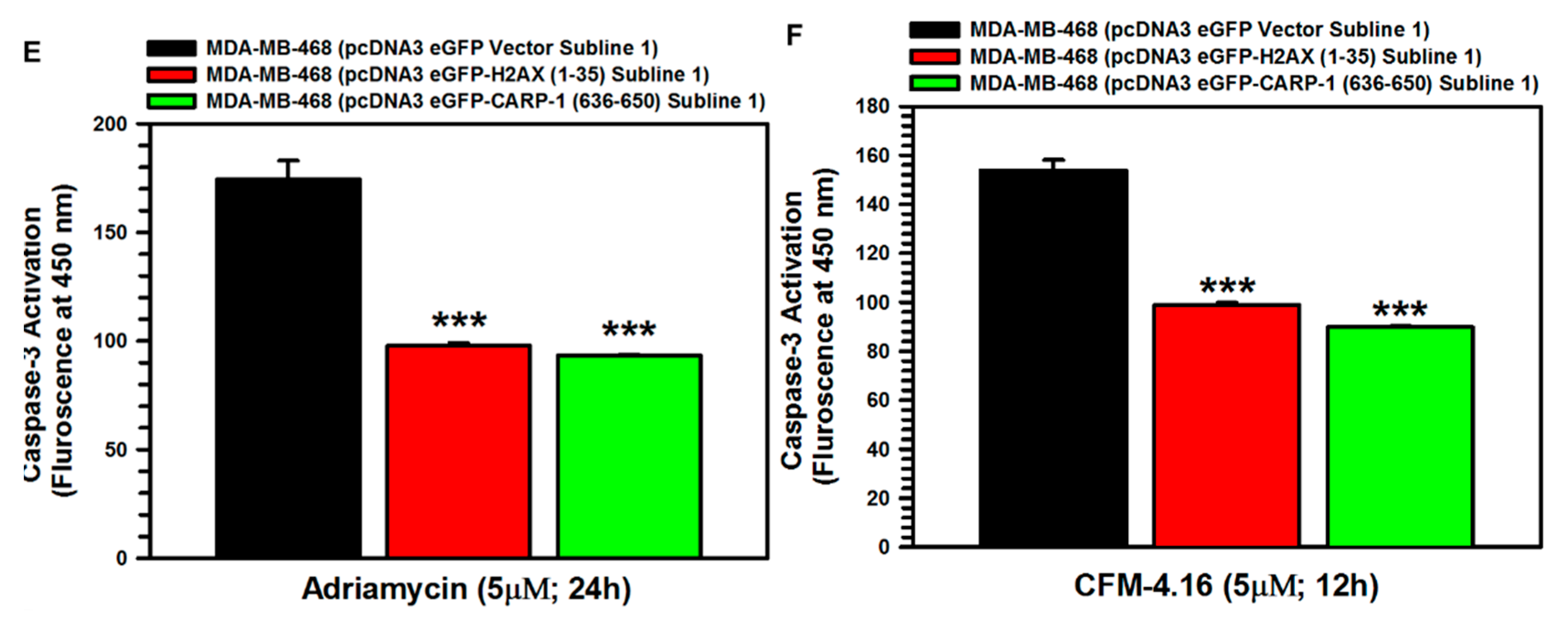 Cancers 11 00221 g007b