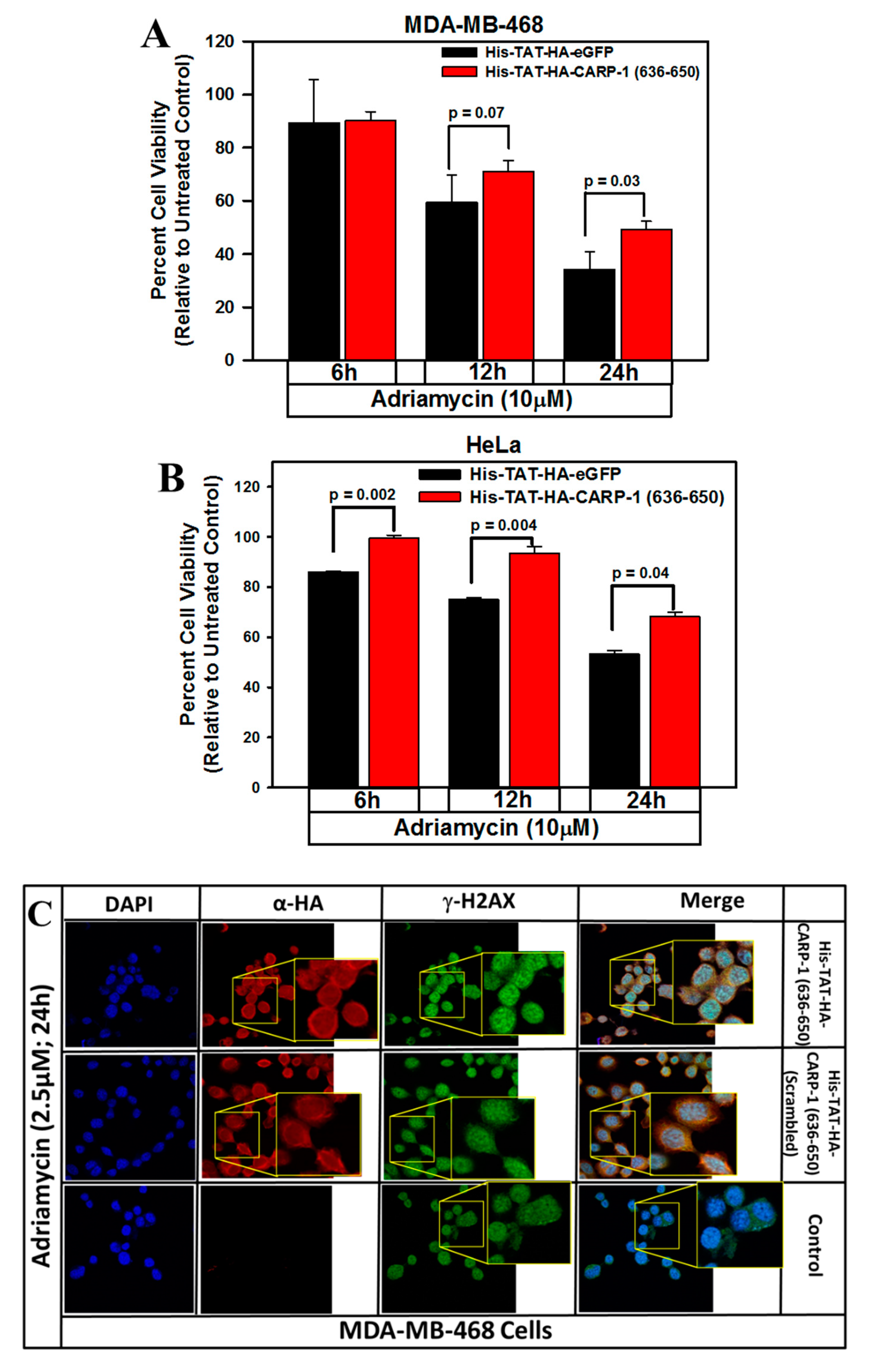 Cancers 11 00221 g008