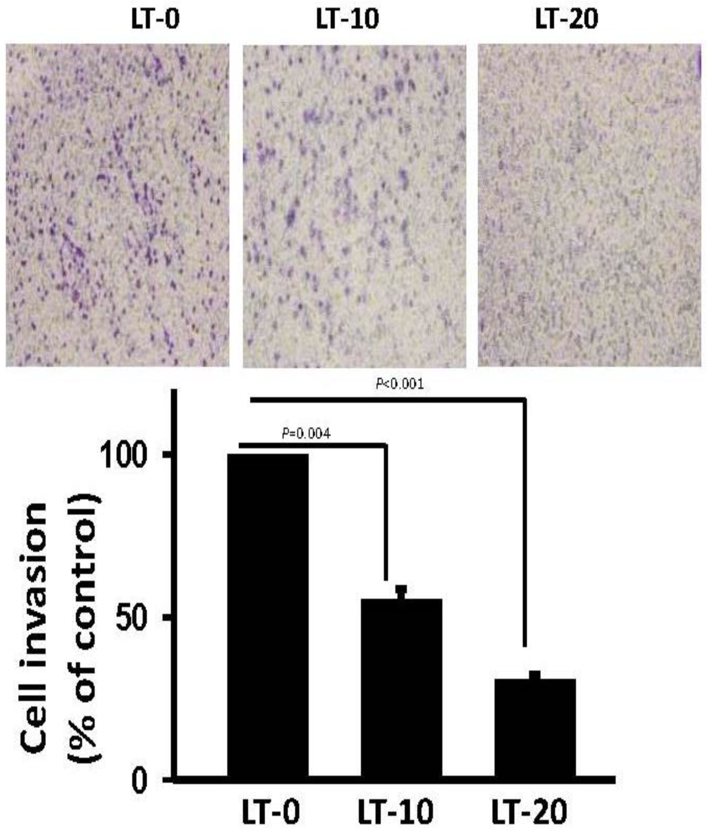 Cancers 11 00353 g006