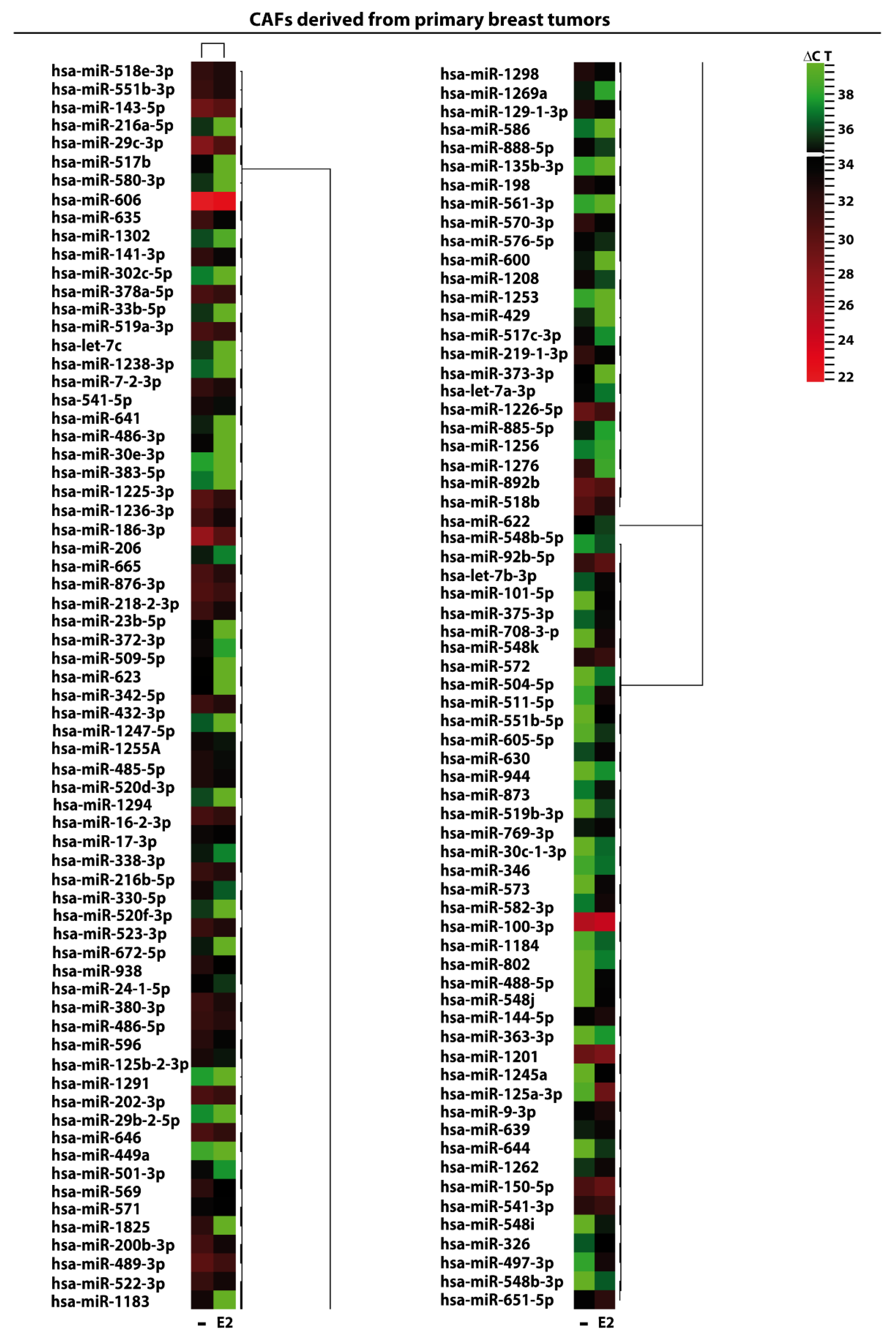 Cancers 11 00412 g002