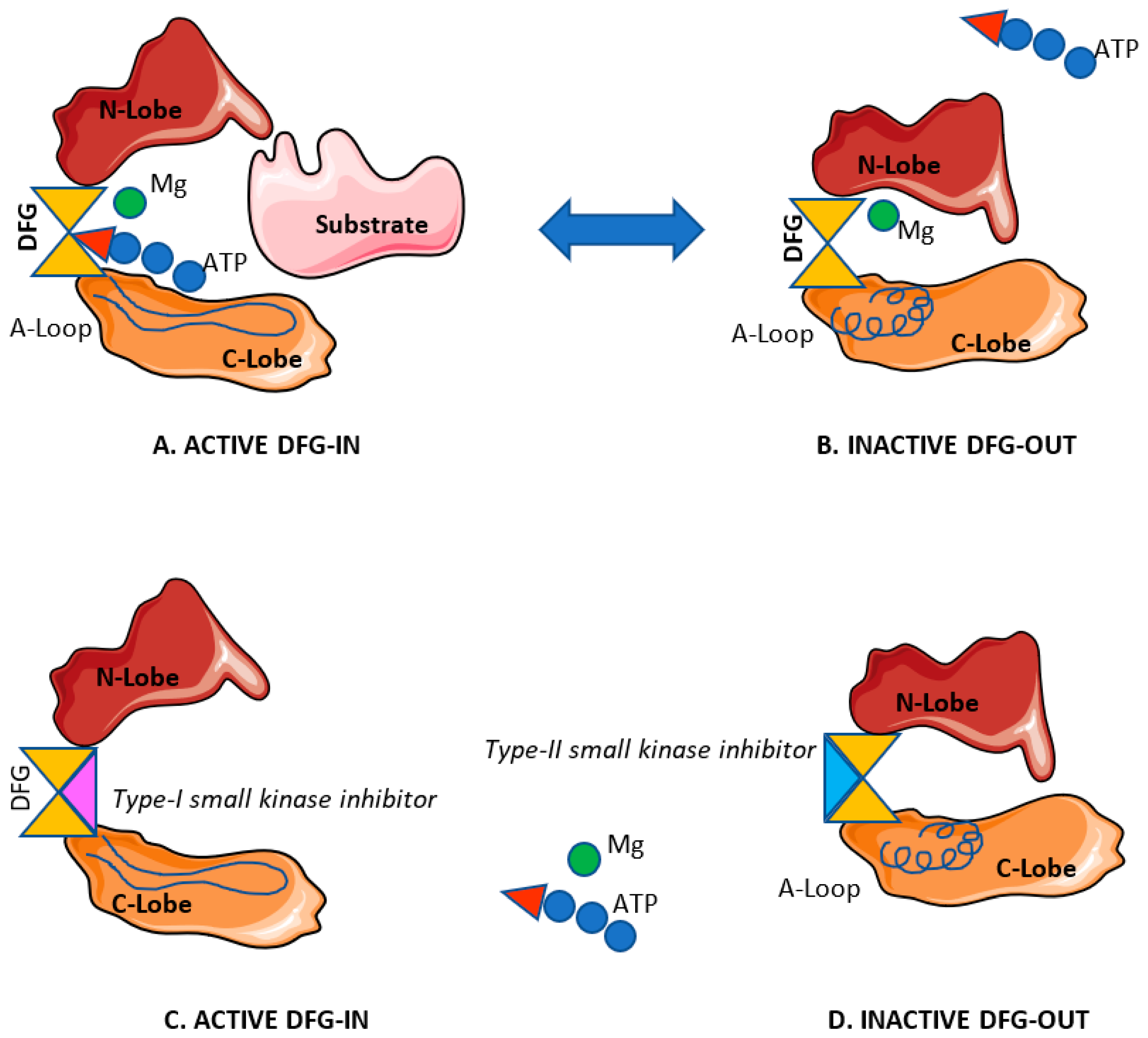 Cancers | Free Full-Text | Targeting Receptor Kinases in Colorectal Cancer