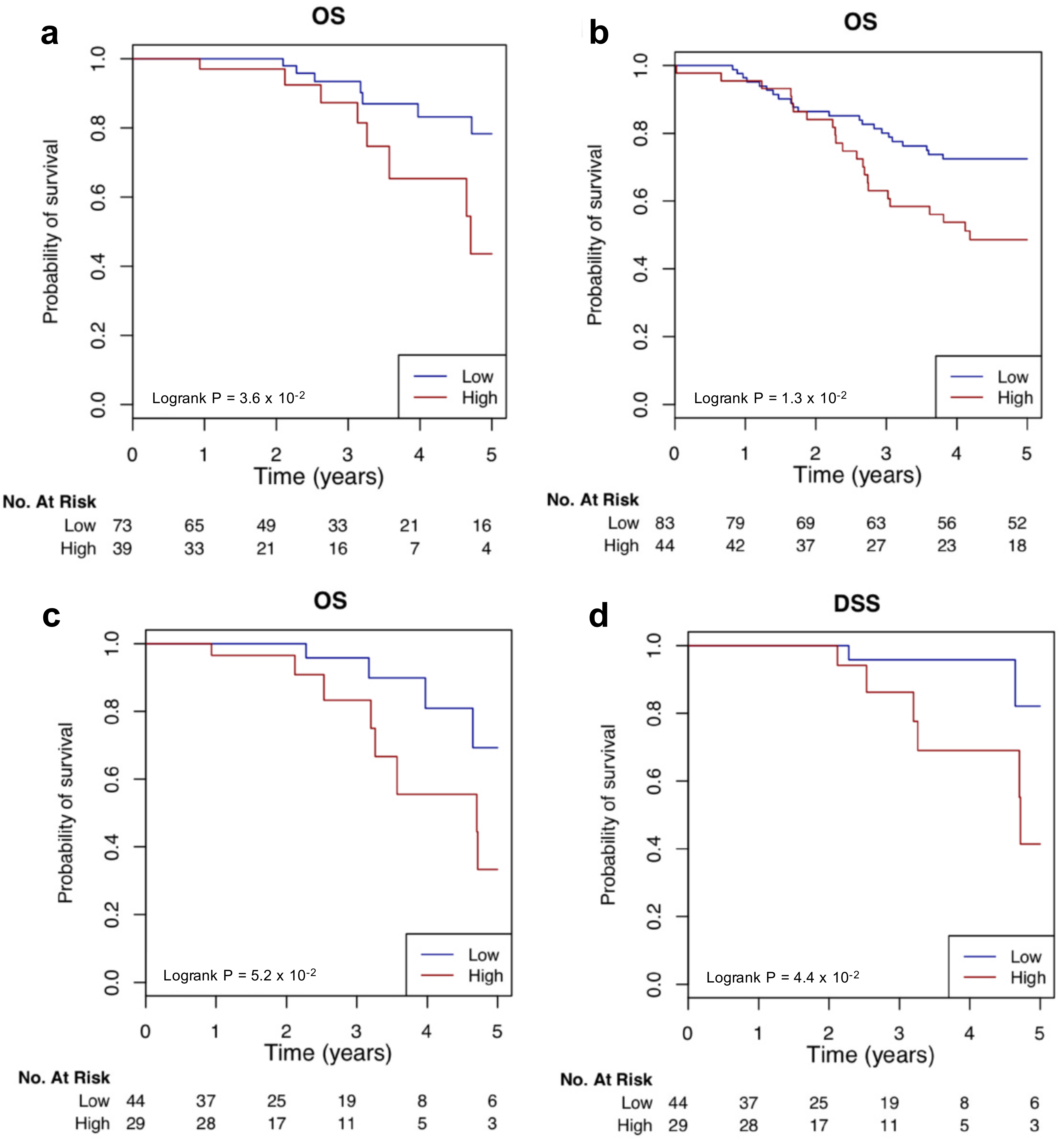 Cancers 11 00507 g007