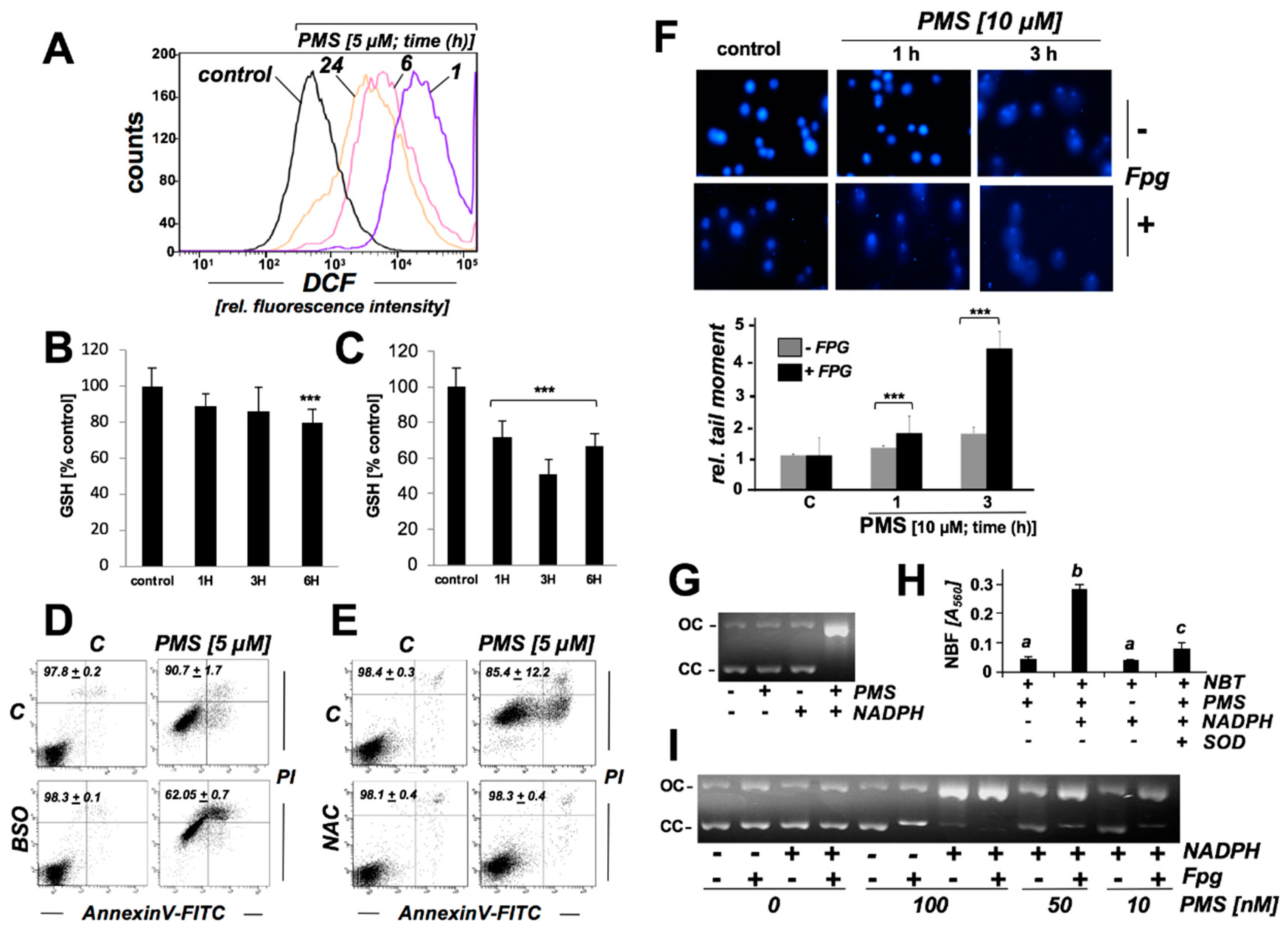 Cancers 11 00590 g005