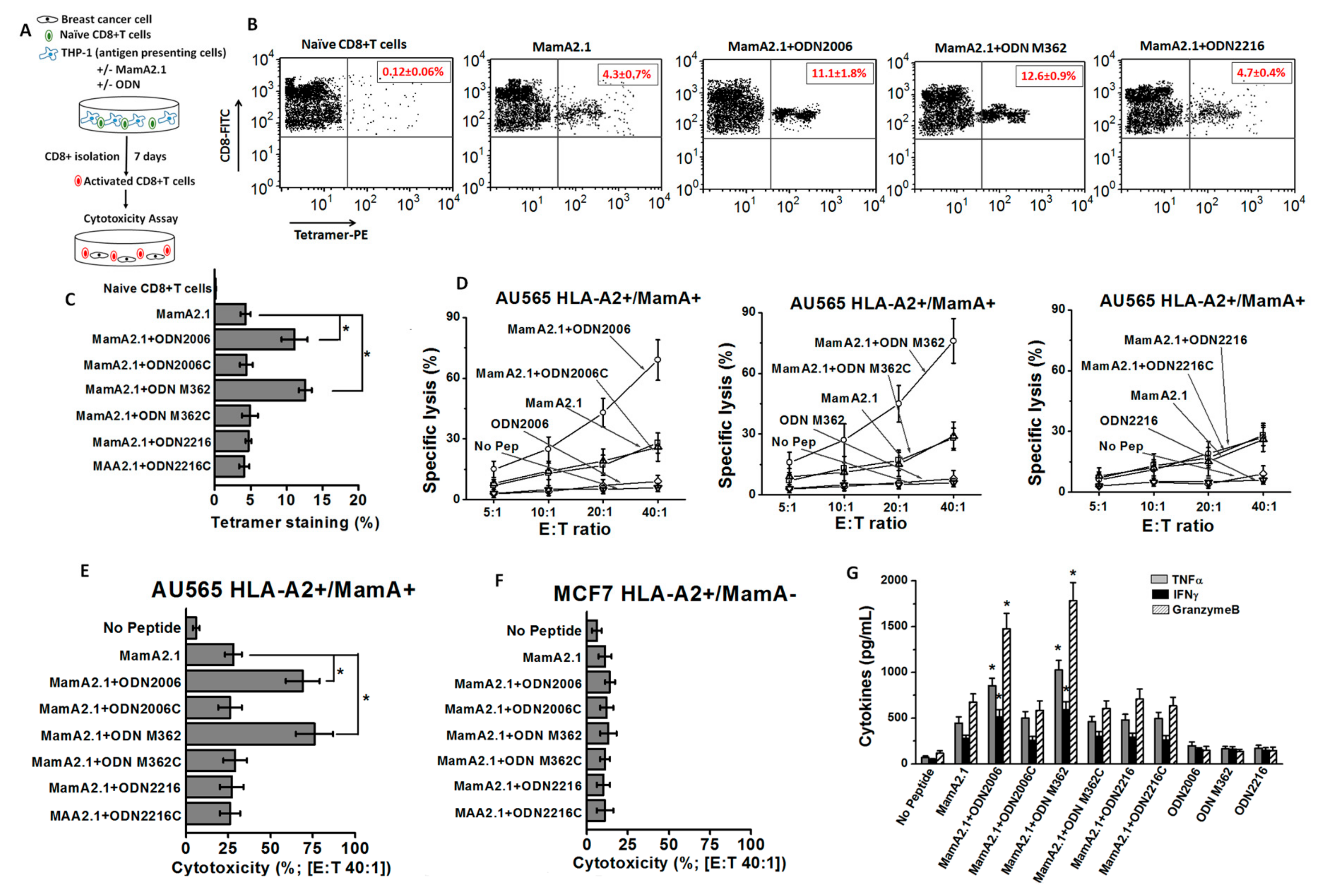 Cancers 11 00672 g001