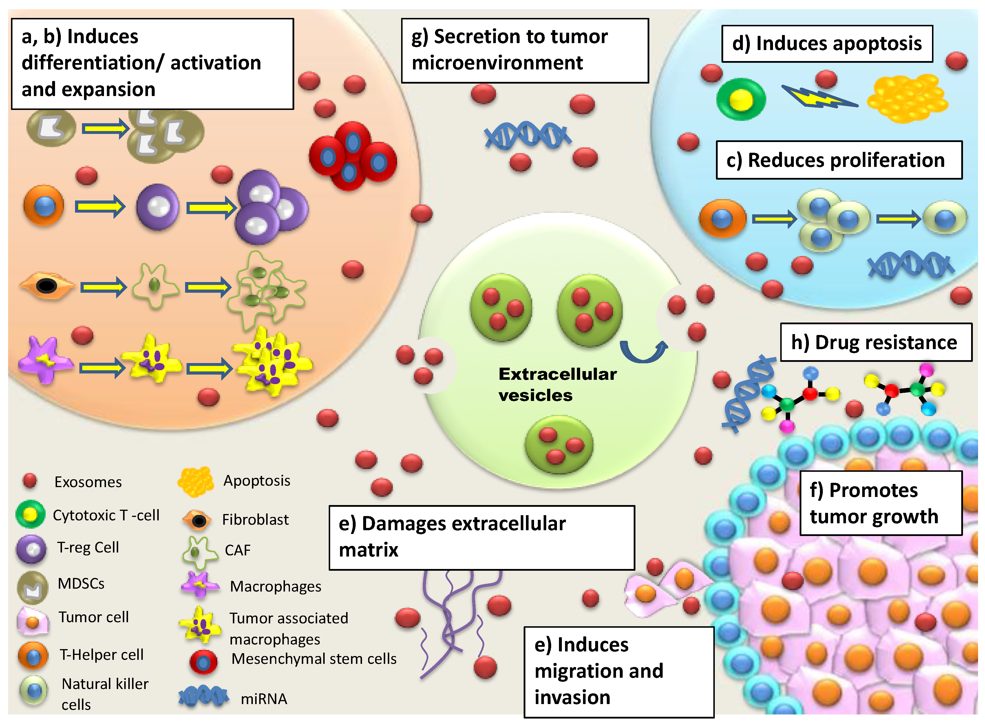 Cancers 11 00746 g001