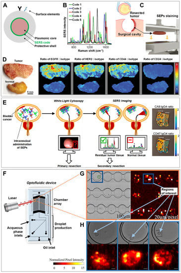 Early cancer detection by SERS spectroscopy and machine learning