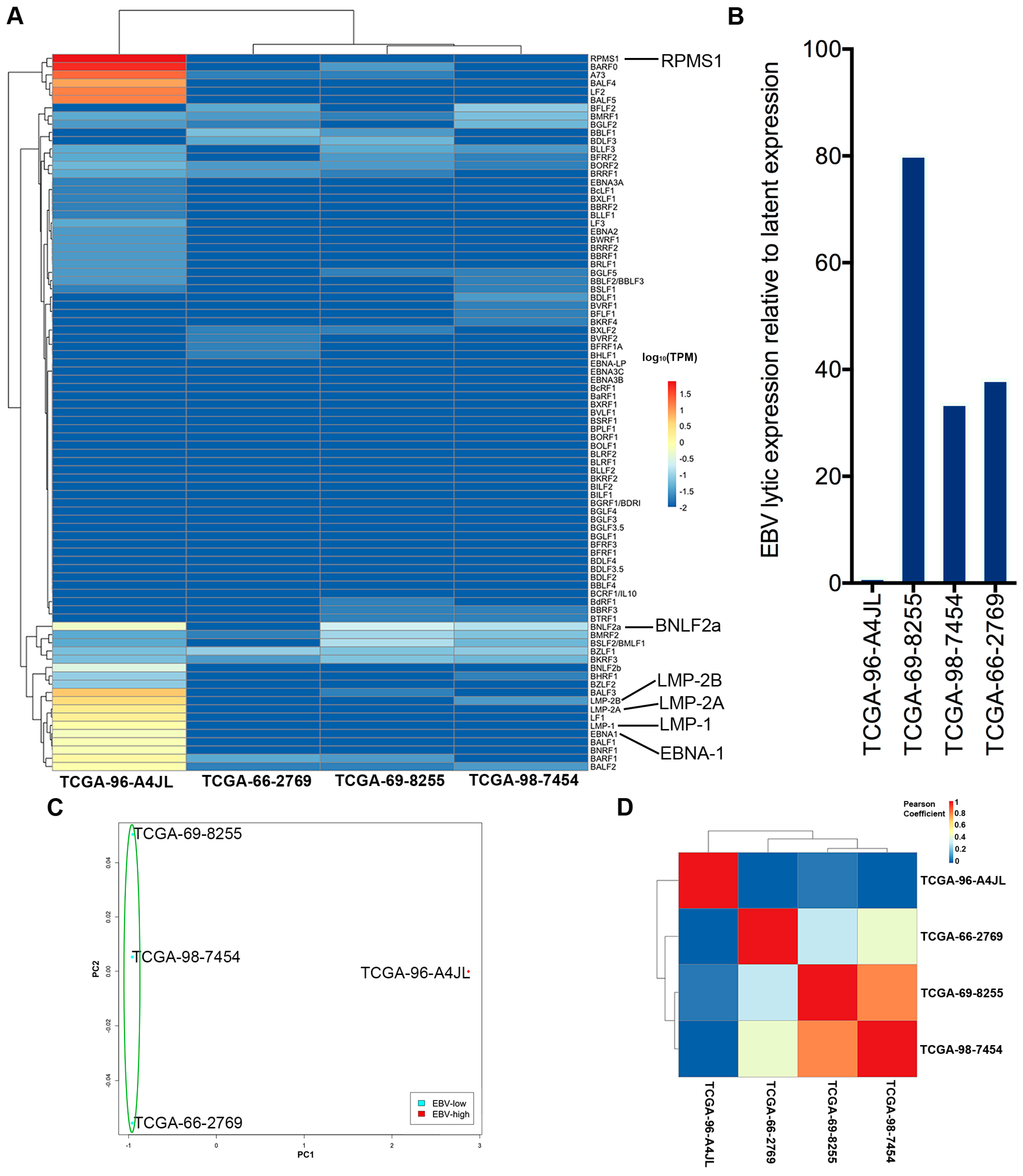 Cancers 11 00759 g003