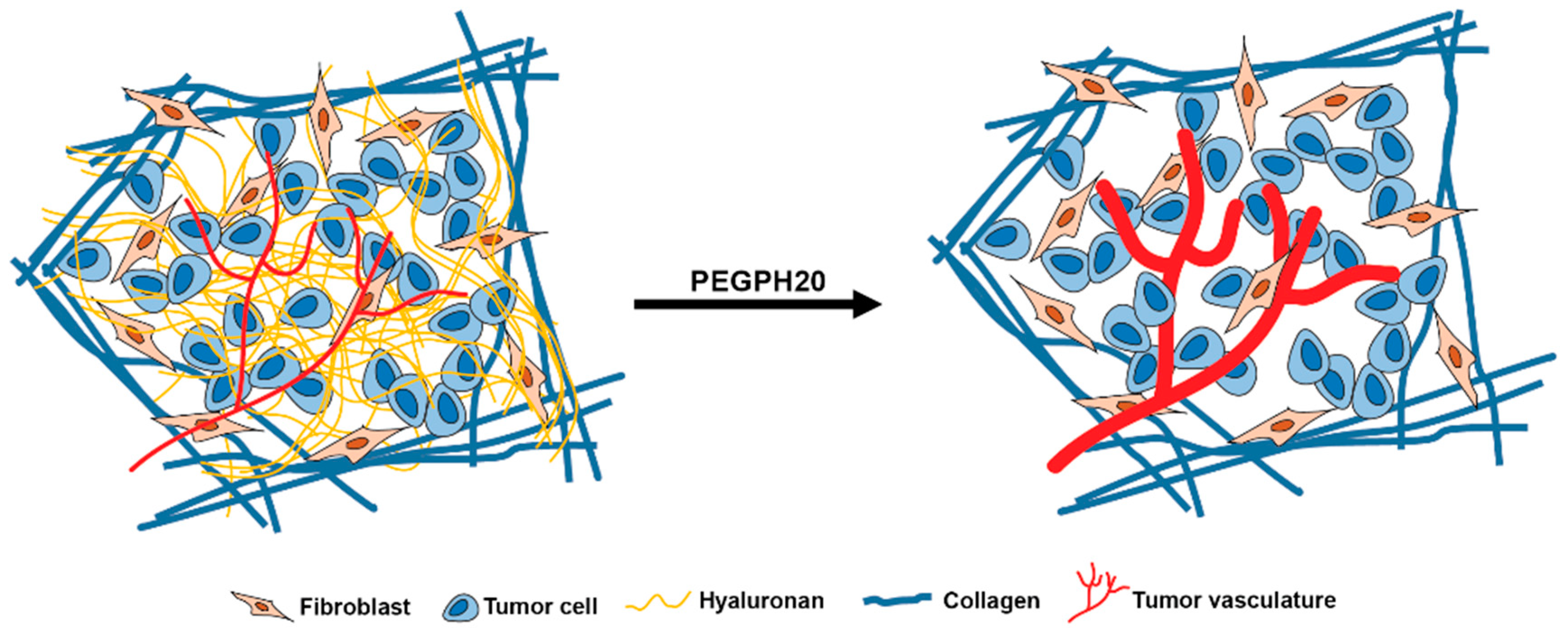 Cancers Free Full Text Non Invasive Monitoring Of