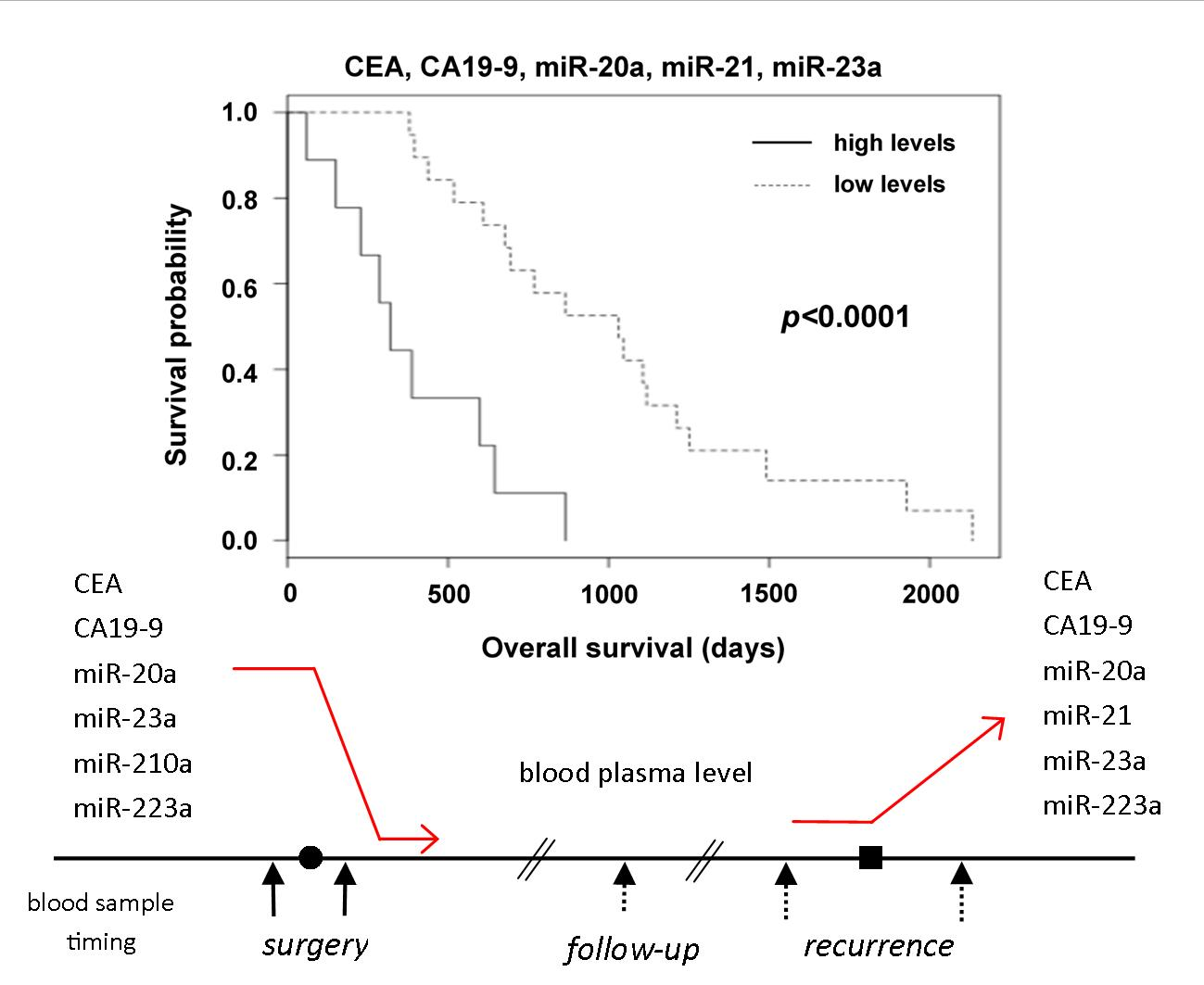 Cancers Free Full Text Plasma Microrna Levels Combined With