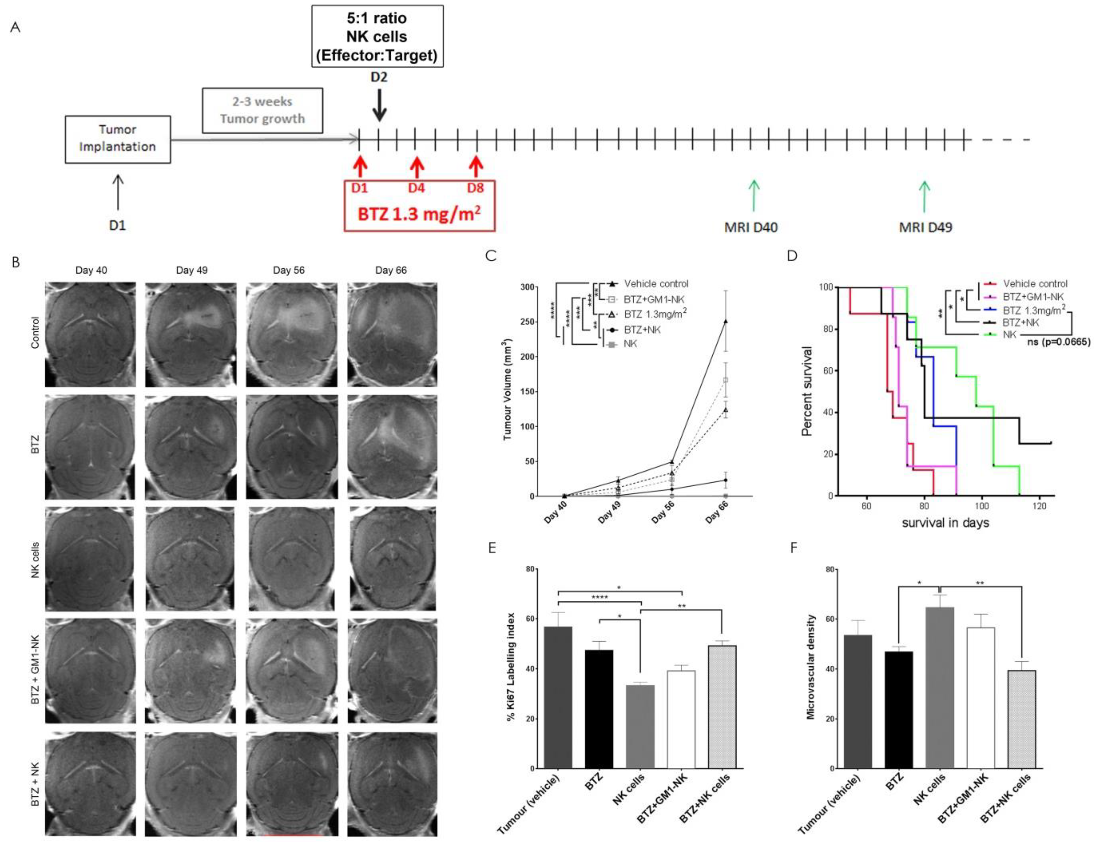 Cancers 11 00996 g005a