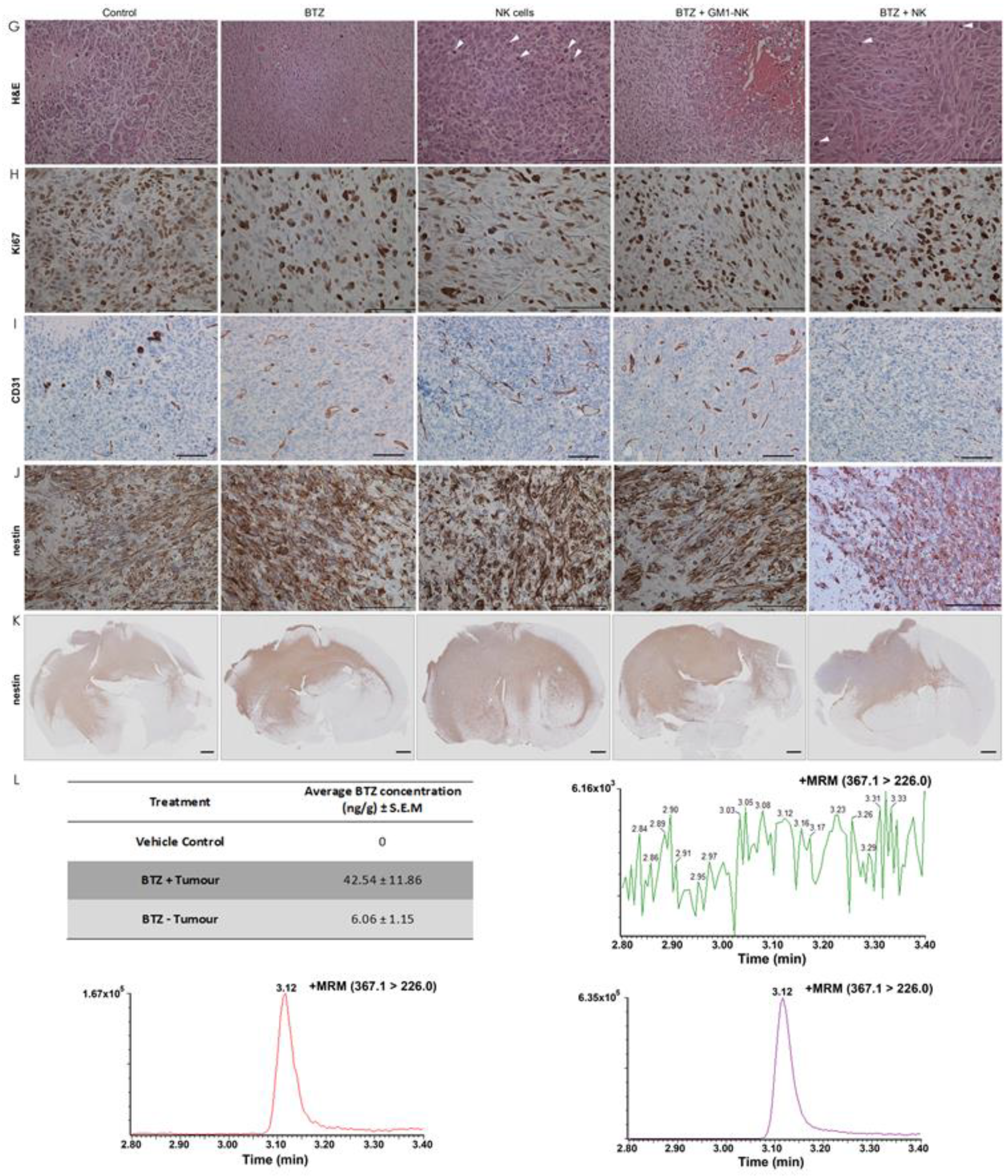 Cancers 11 00996 g005b