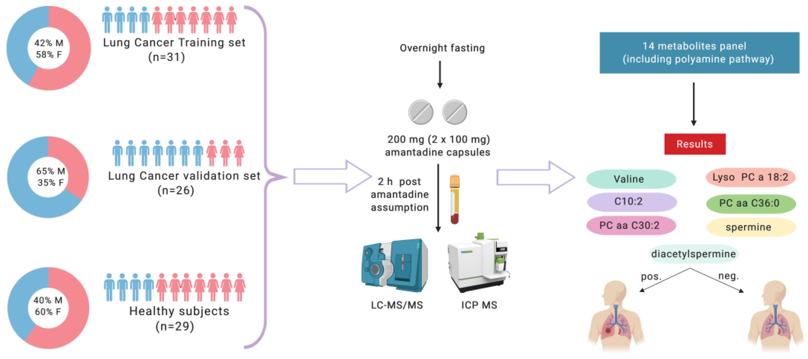 Cancers Free Full Text Liquid Biopsy In Lung Cancer Screening The Contribution Of Metabolomics Results Of A Pilot Study Html