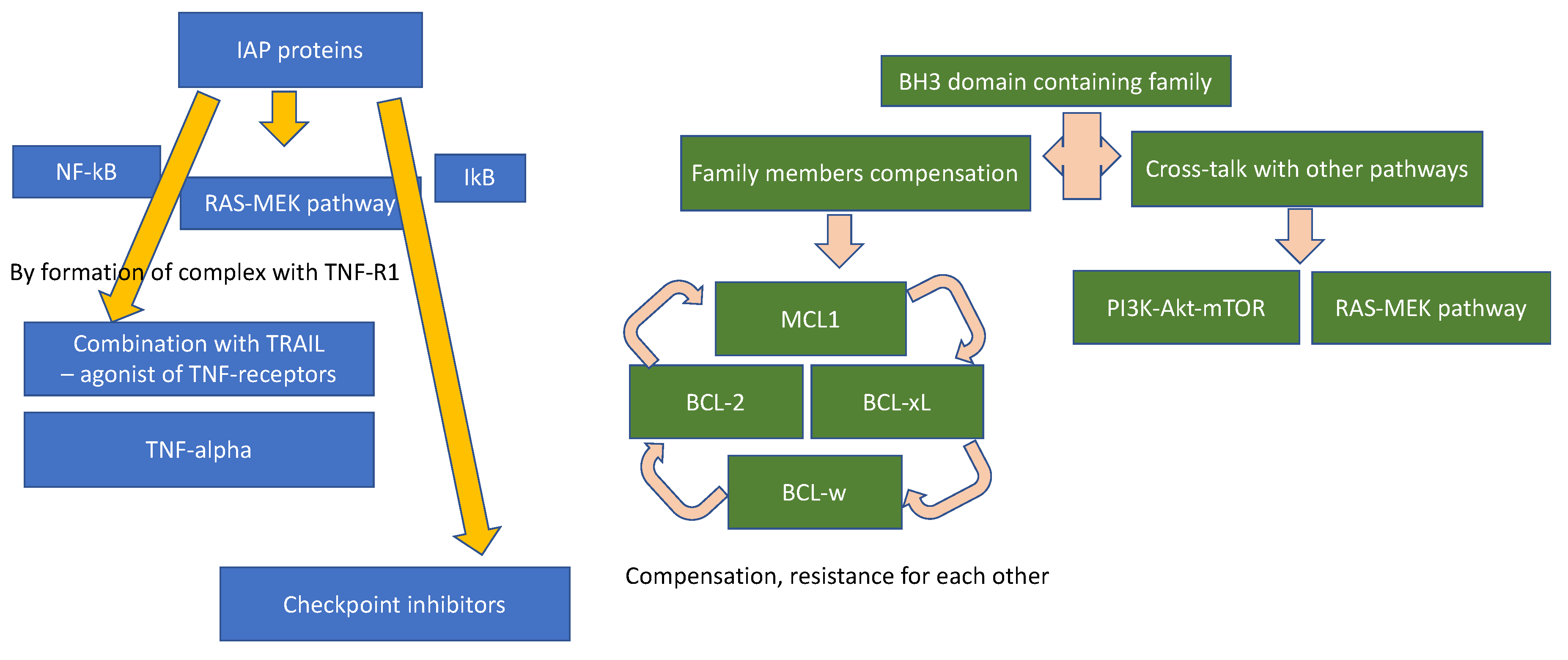 https://www.mdpi.com/cancers/cancers-11-01087/article_deploy/html/images/cancers-11-01087-g003.png