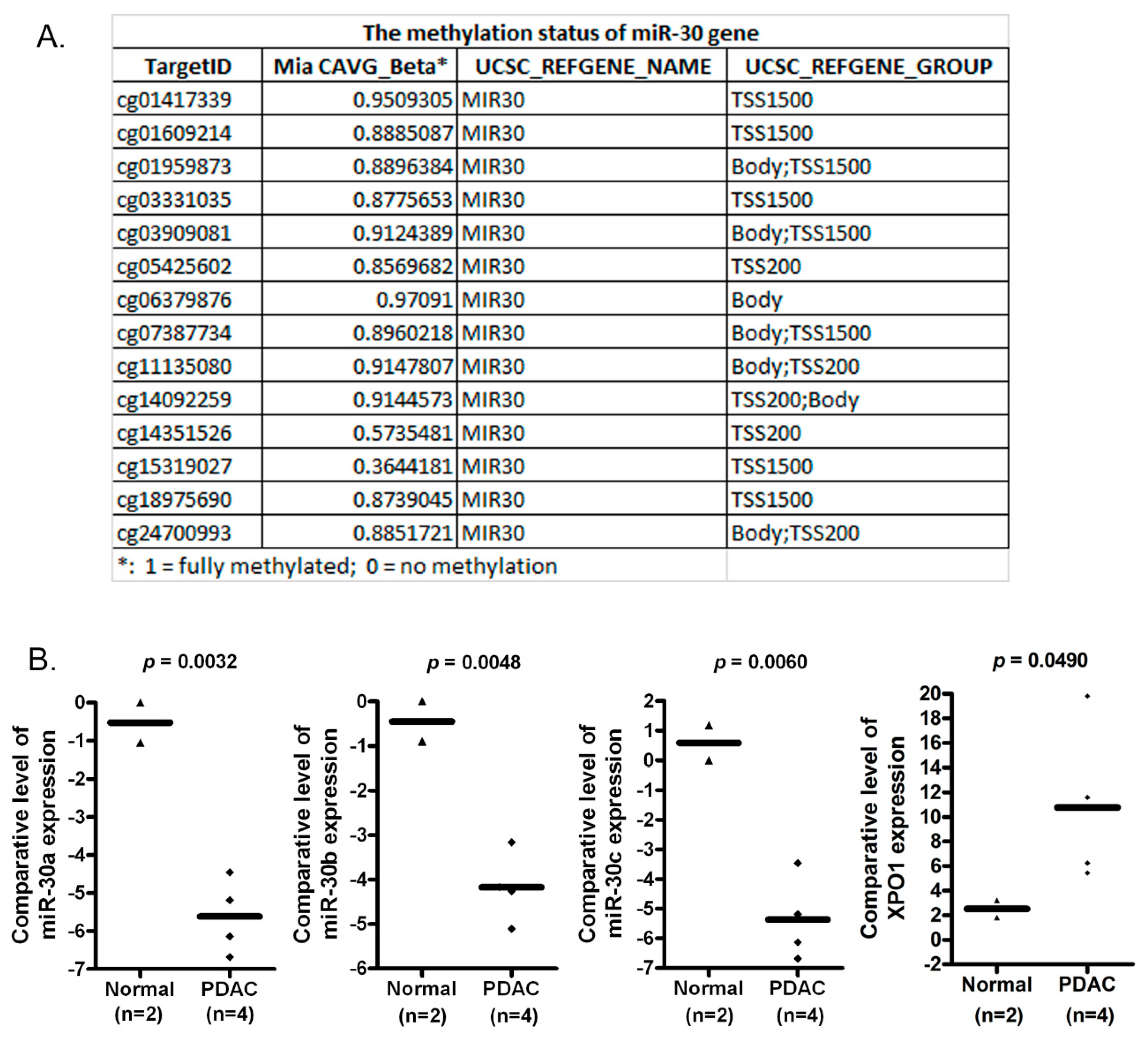 Cancers 11 01101 g001 Cancers 11 01101 g001