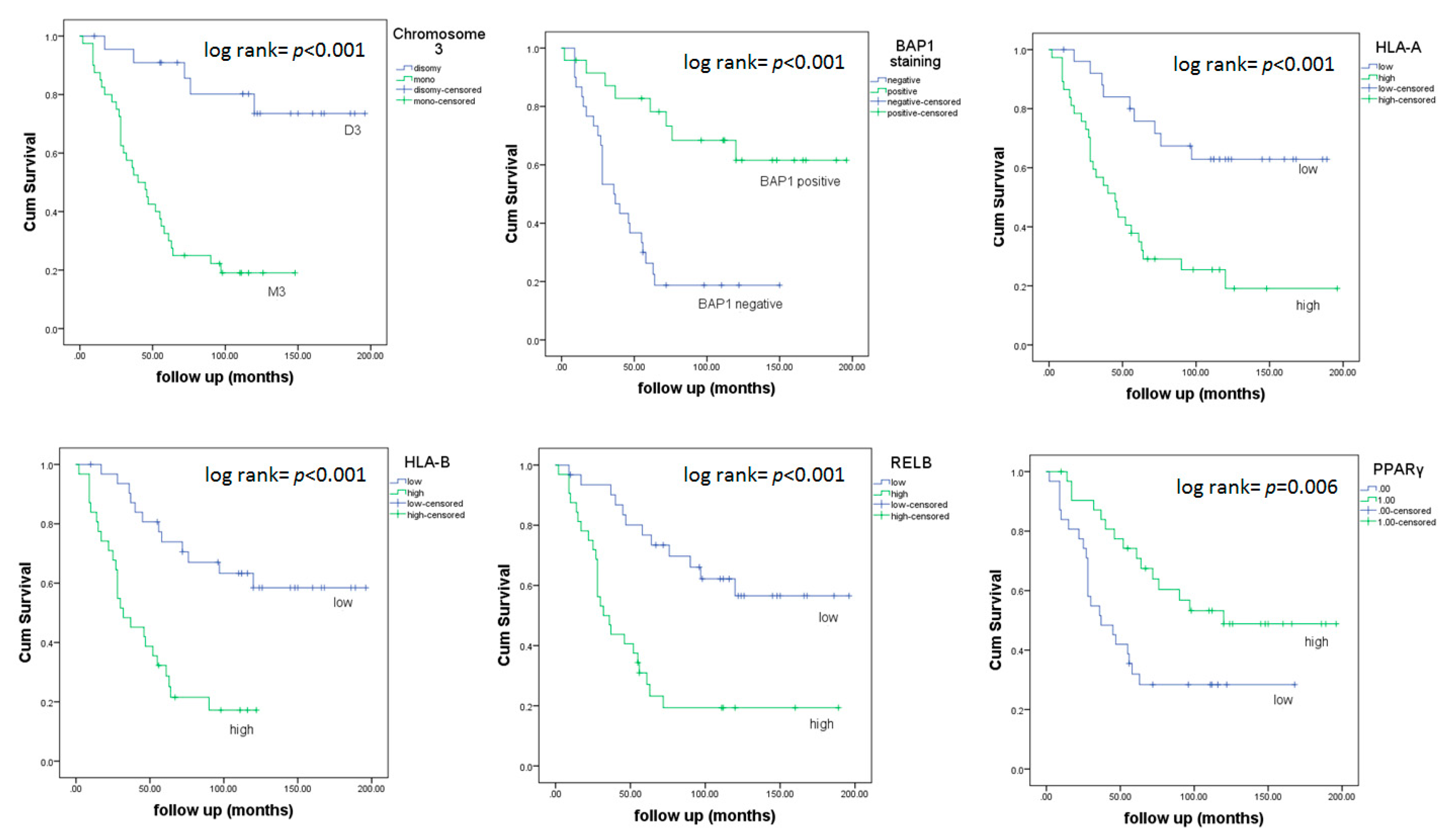 Cancers 11 01102 g002 Cancers 11 01102 g002