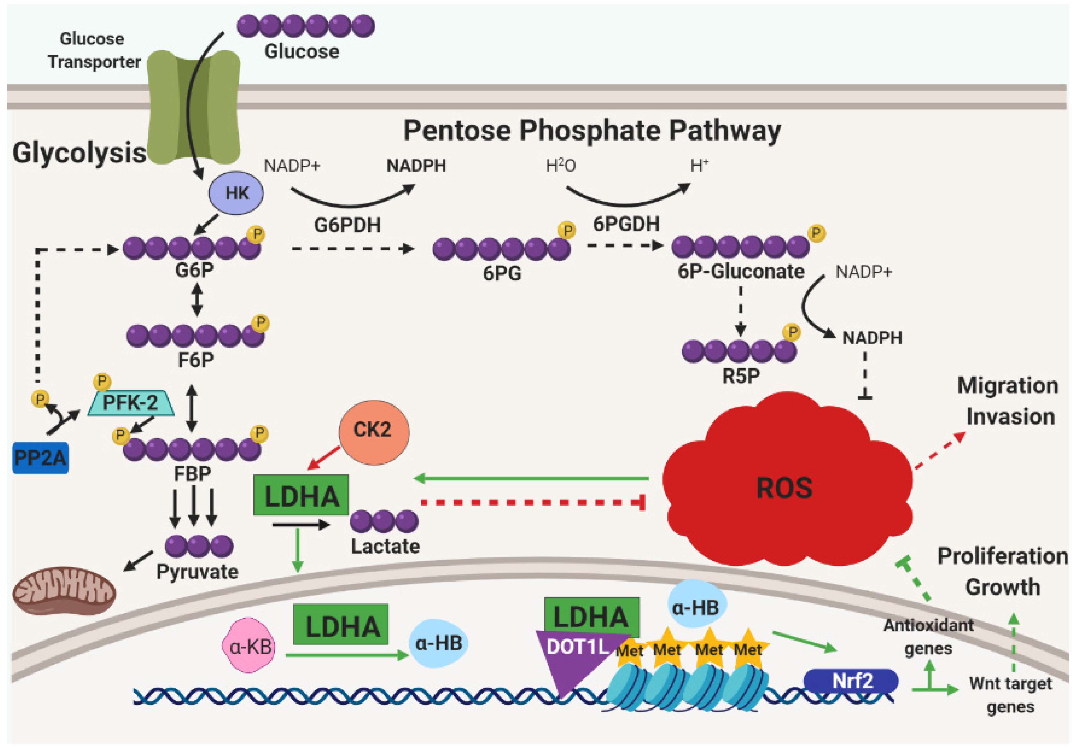 Cancers 11 01208 g003 Cancers 11 01208 g003