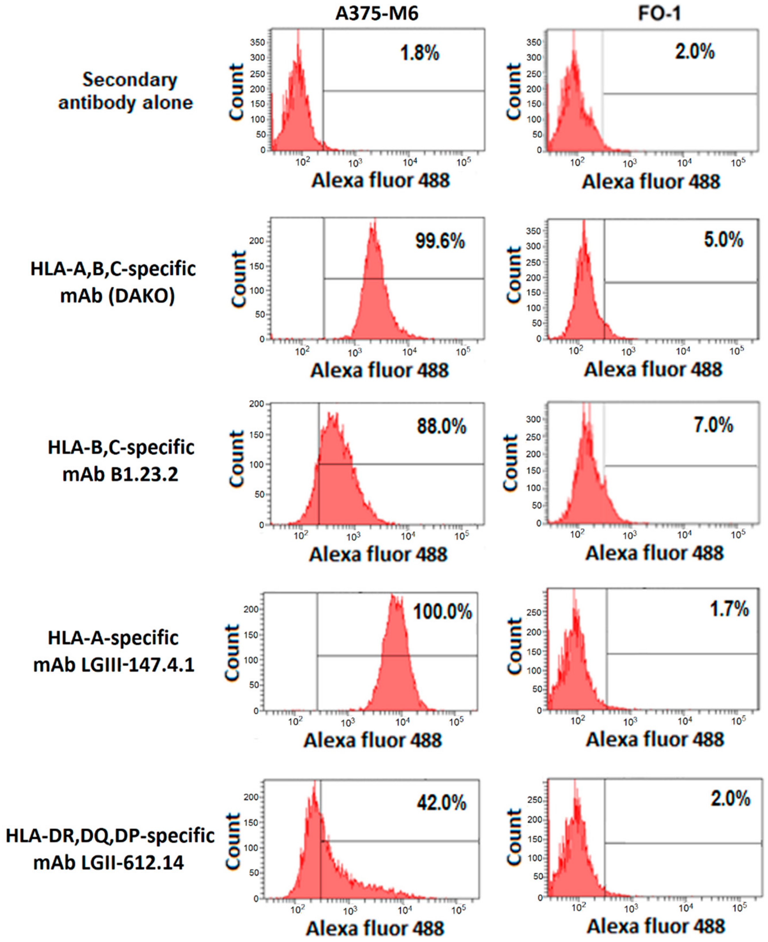 Cancers Free Full Text Potential Role Of Hla Class I Antigens In The Glycolytic Metabolism And Motility Of Melanoma Cells Html