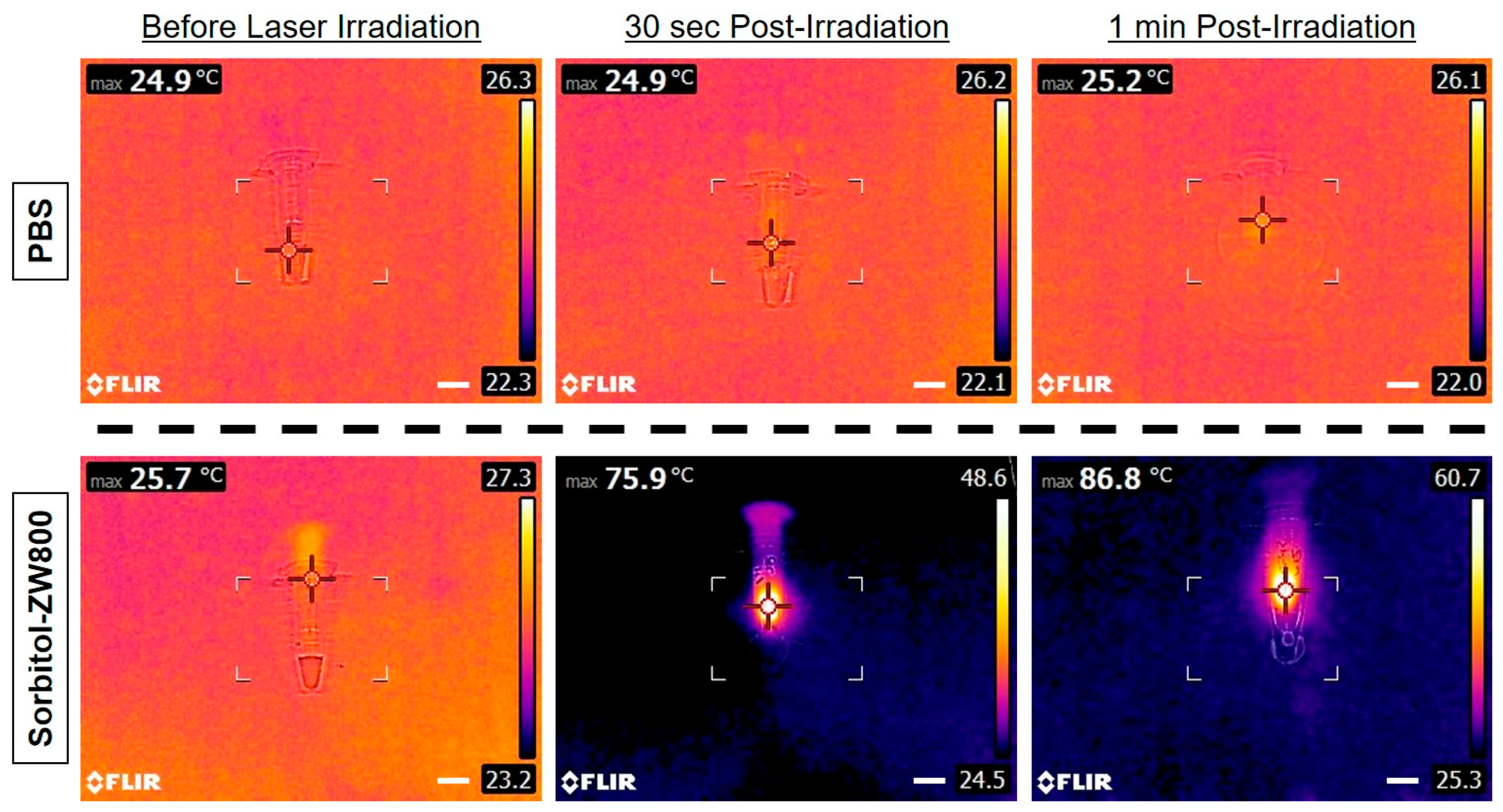 Cancers 11 01286 g002 Cancers 11 01286 g002
