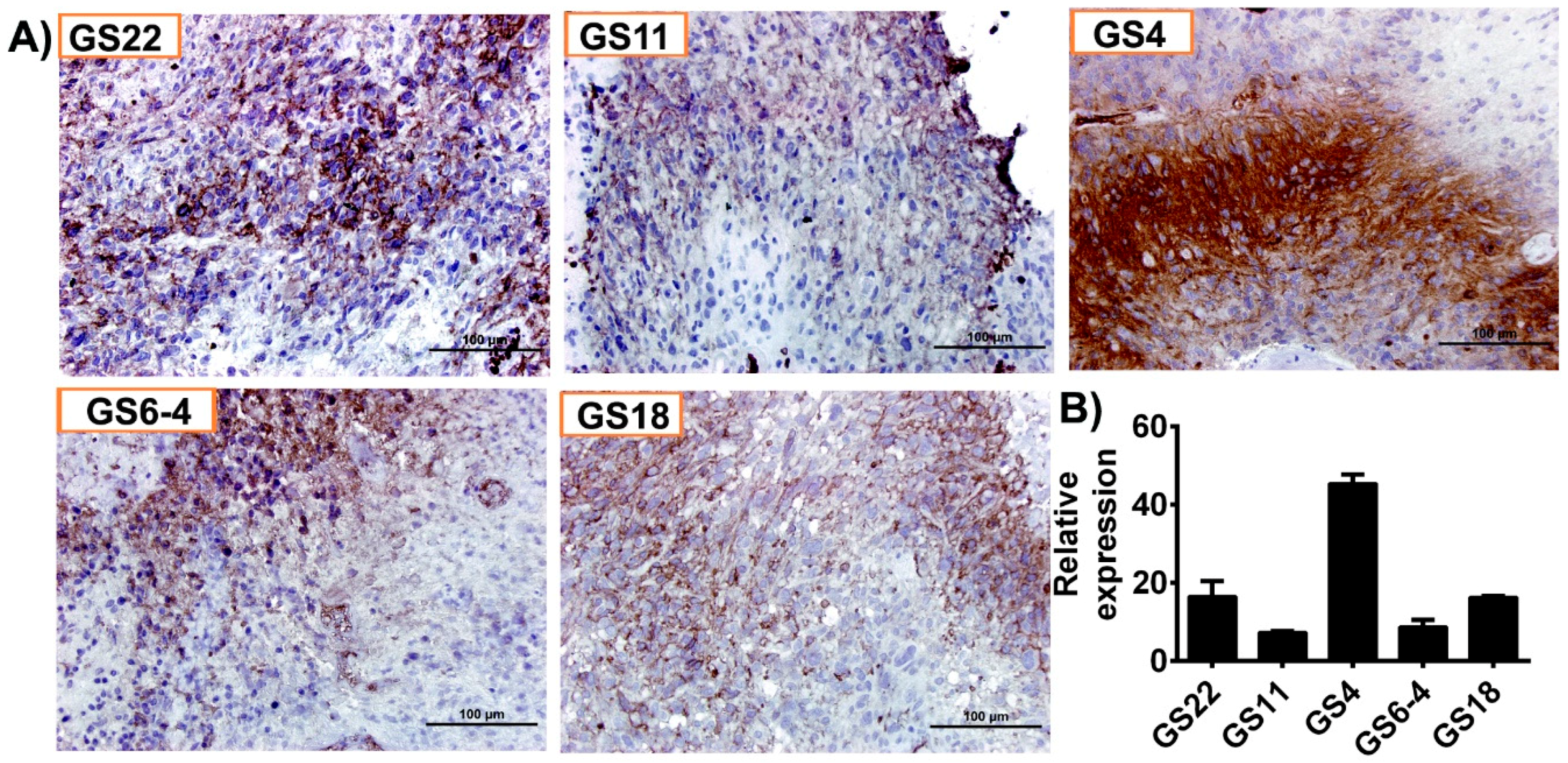 Cancers 11 01308 g002 Cancers 11 01308 g002