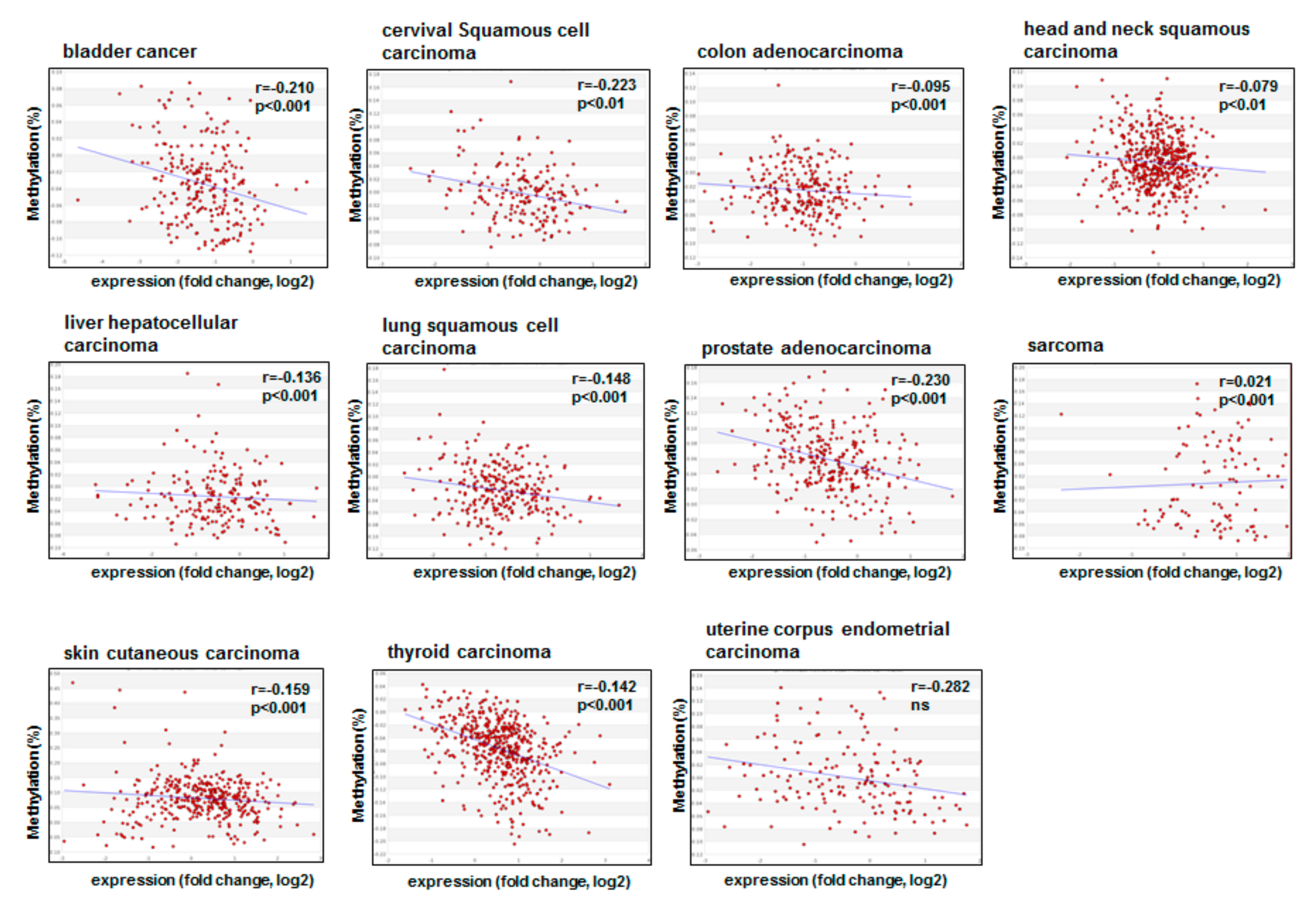 Cancers 11 01343 g002 Cancers 11 01343 g002
