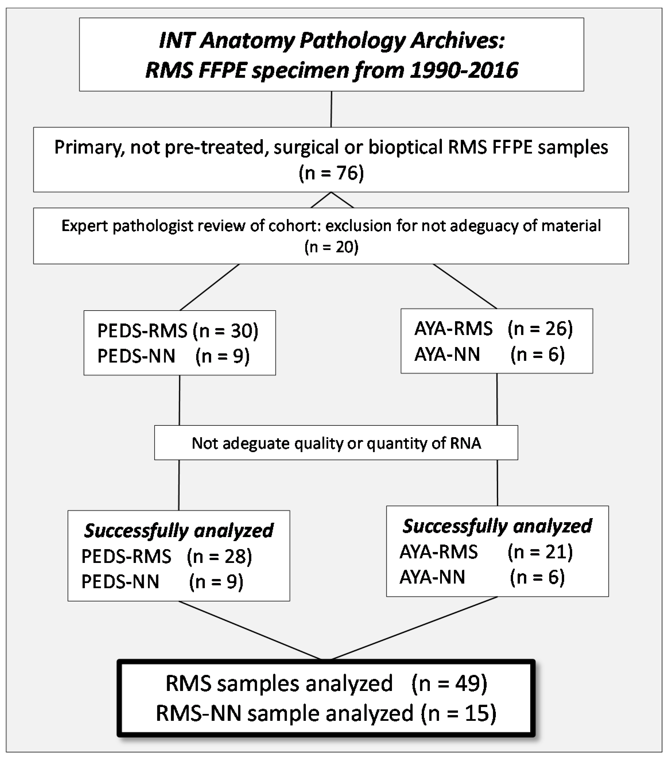 Cancers 11 01380 g006