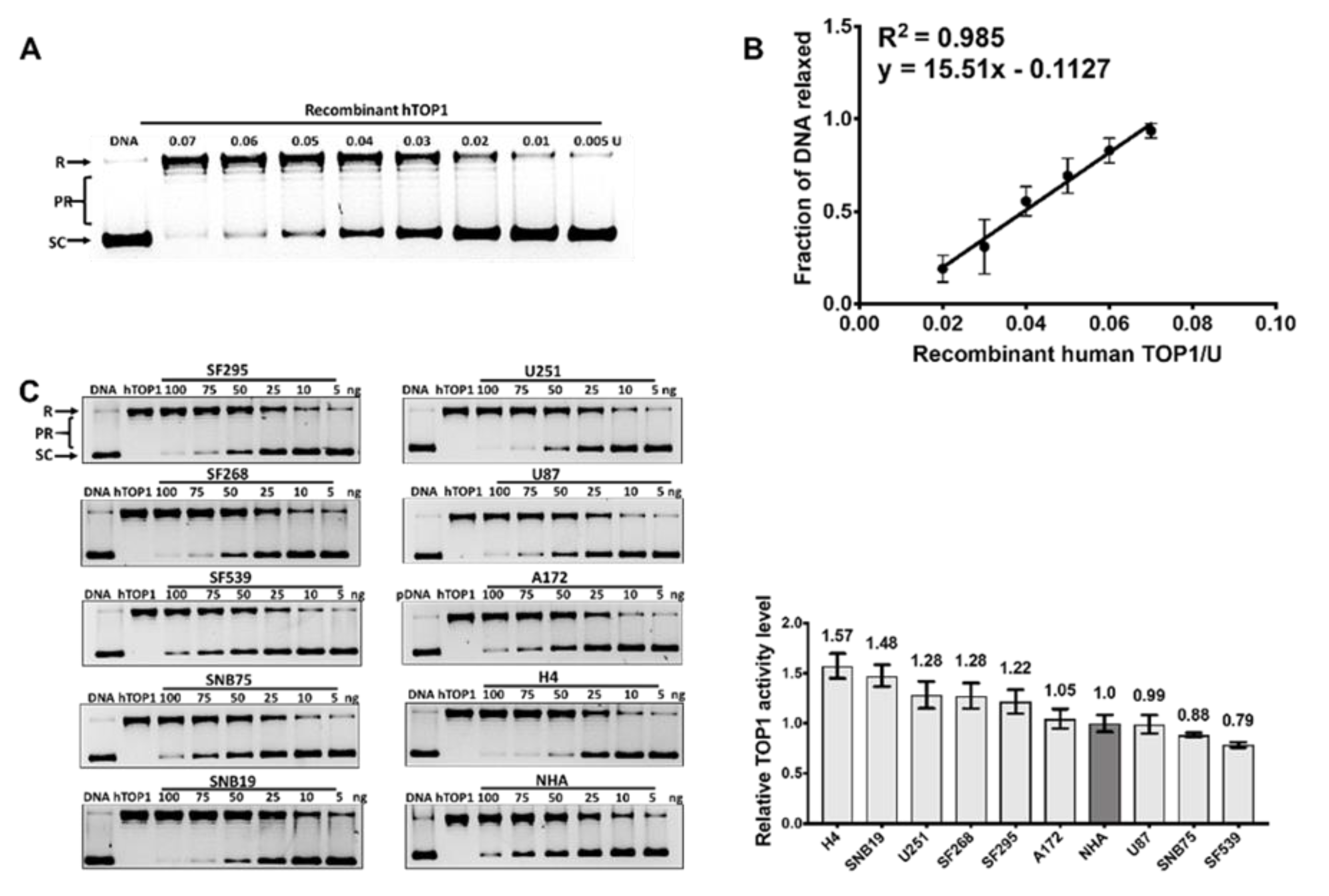 Cancers 11 01416 g003
