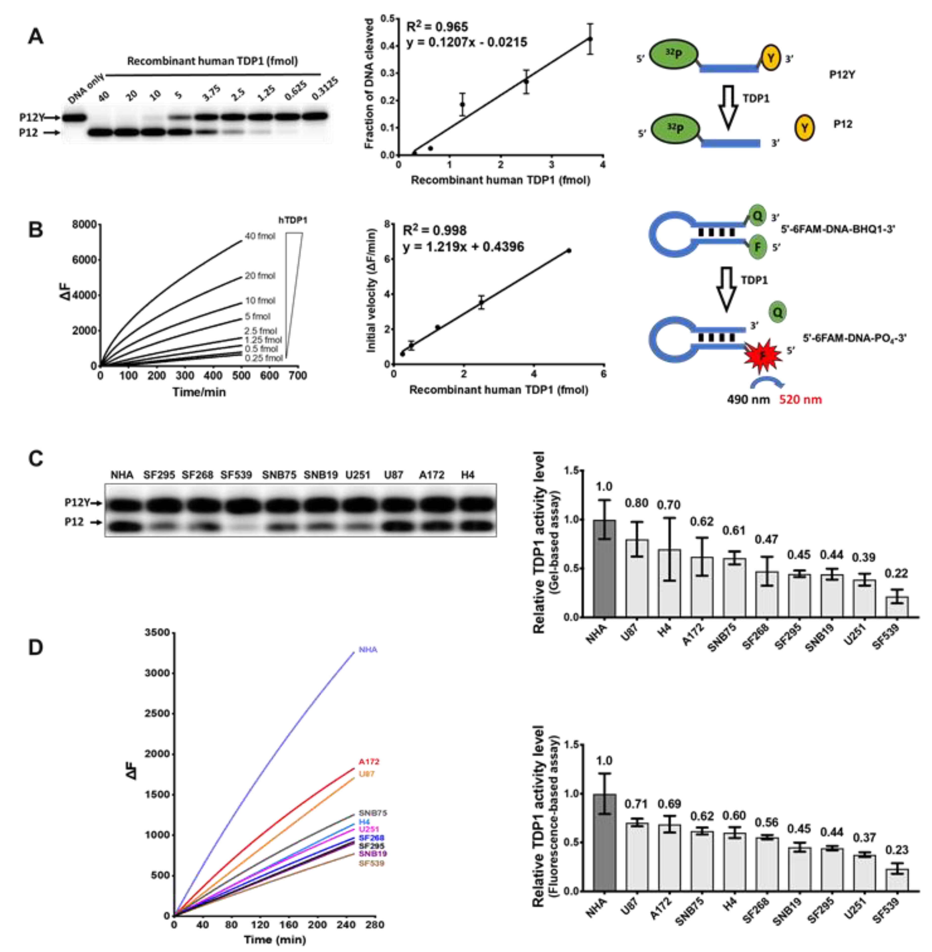 Cancers 11 01416 g004