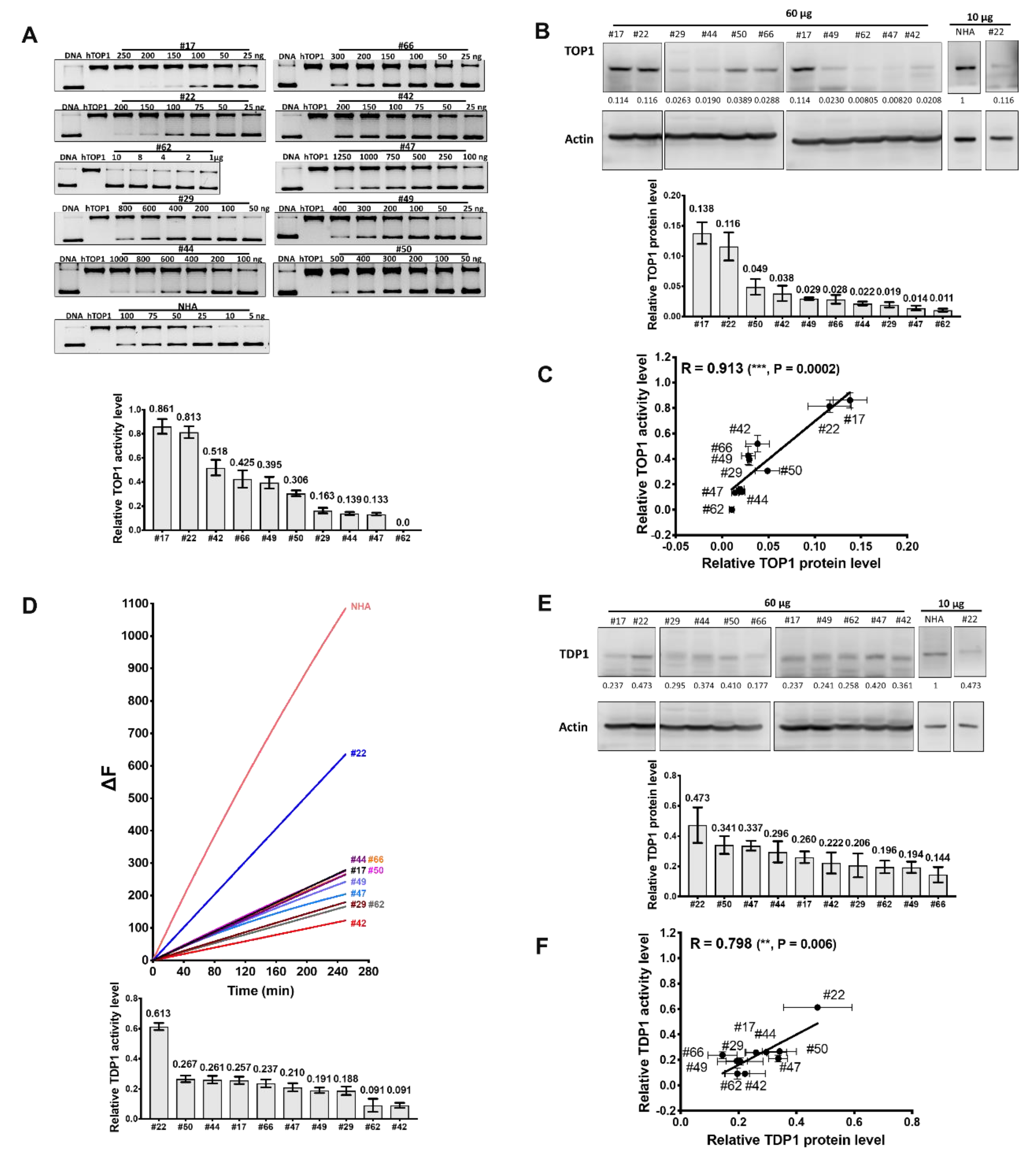 Cancers 11 01416 g008