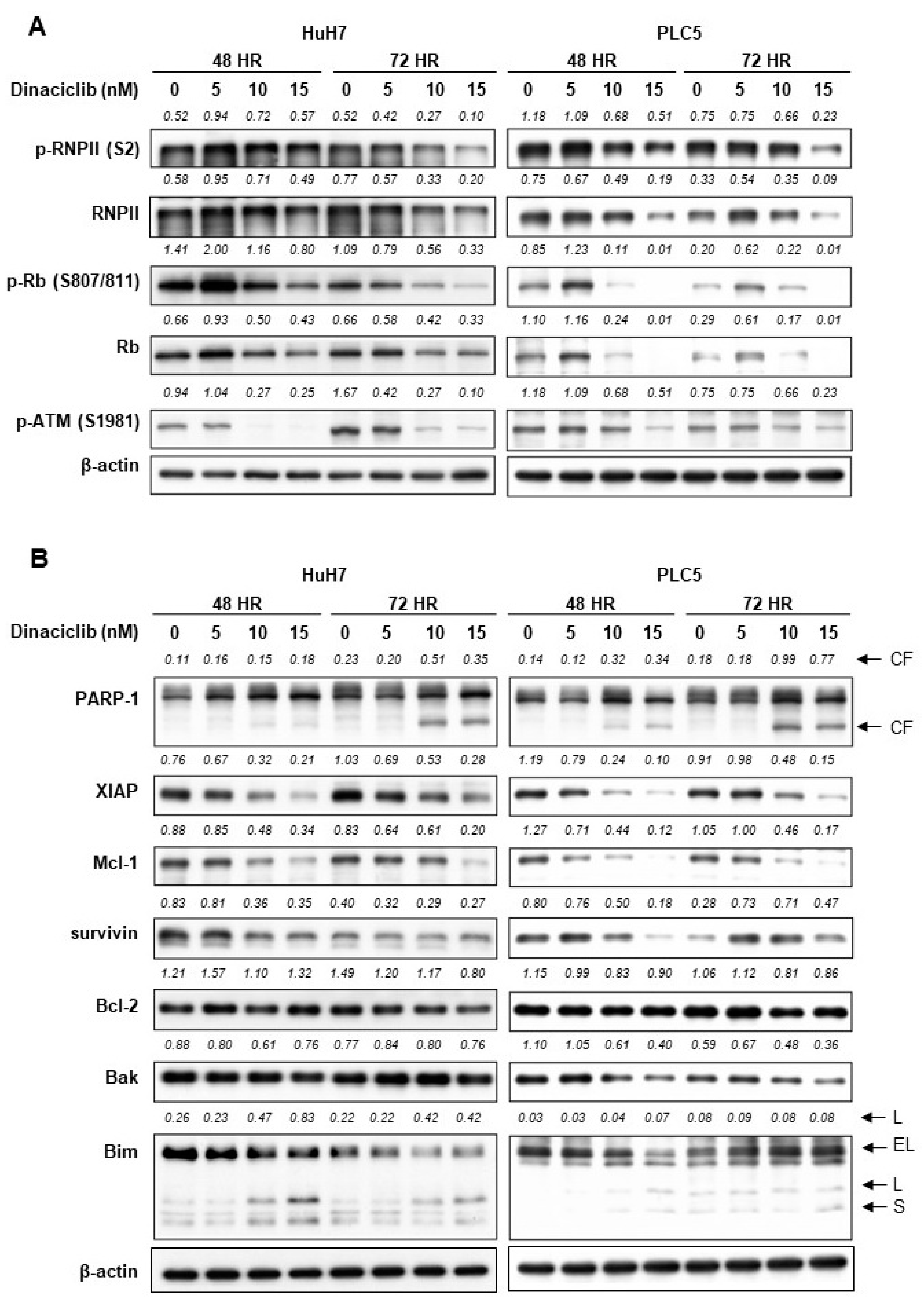 Cancers 11 01433 g003