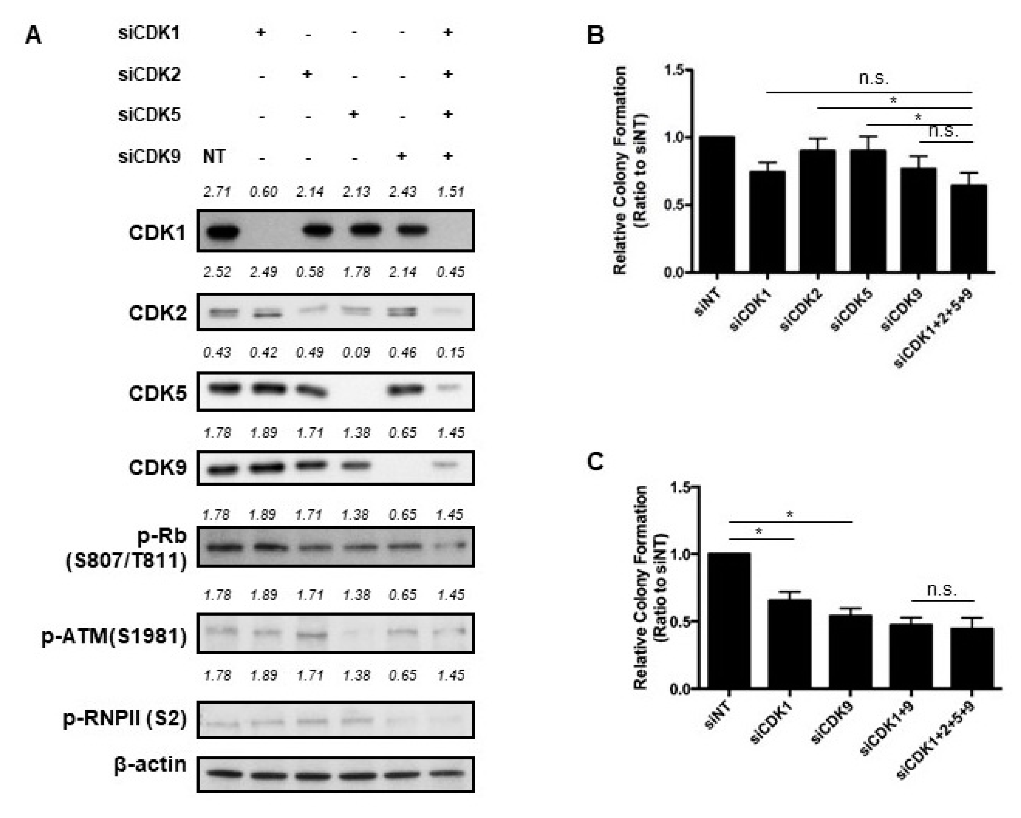 Cancers 11 01433 g005a