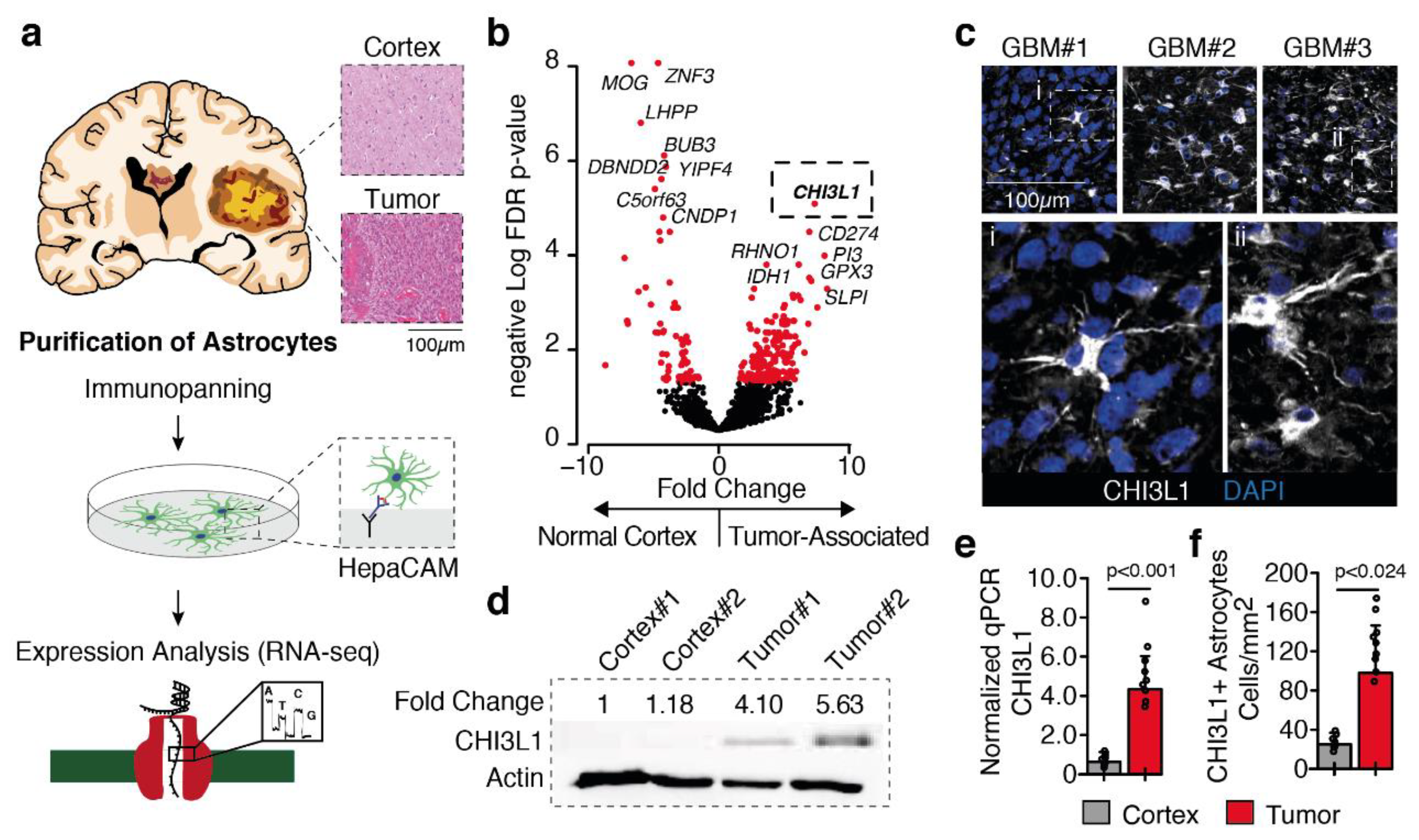 Cancers 11 01437 g001