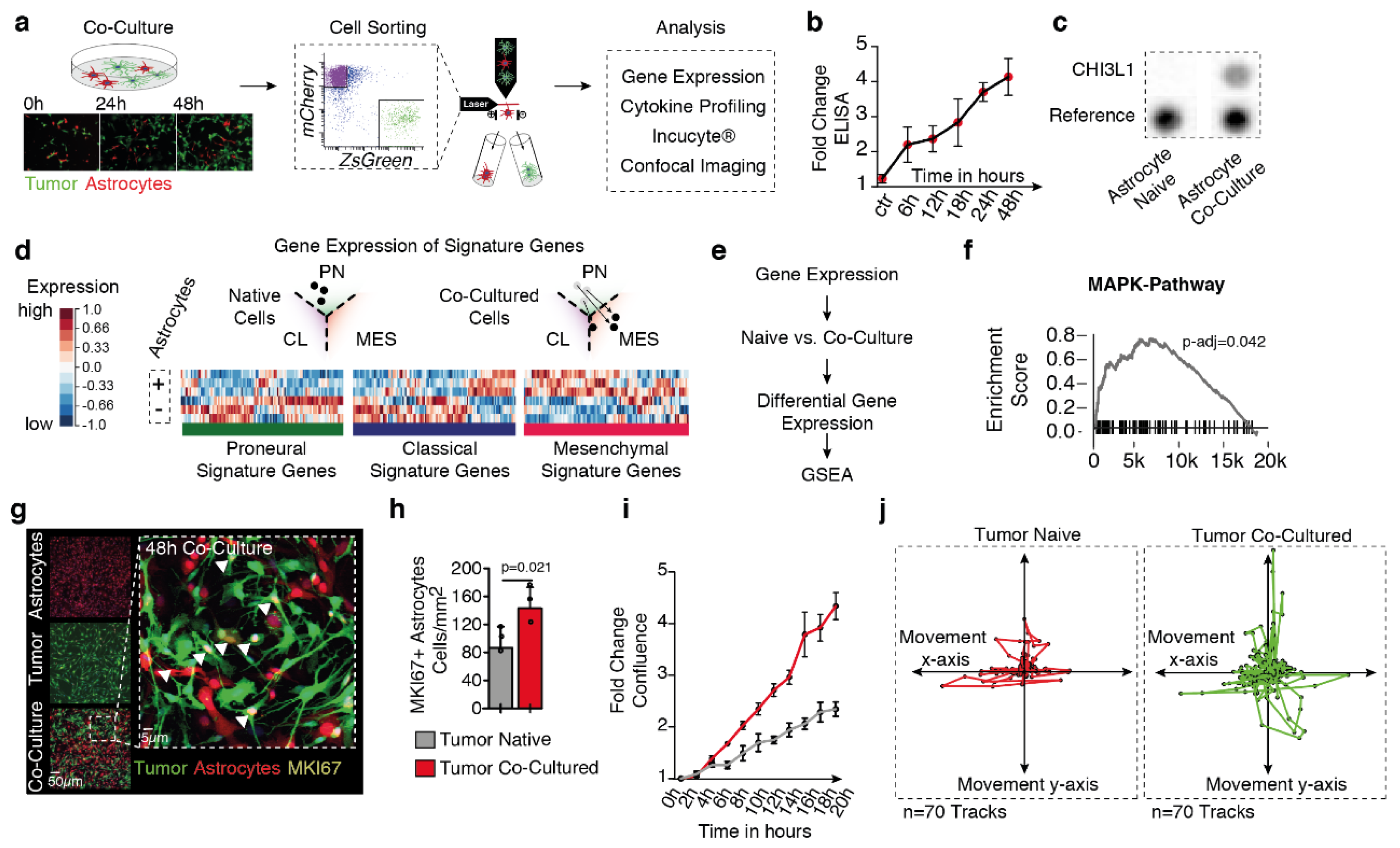 Cancers 11 01437 g002