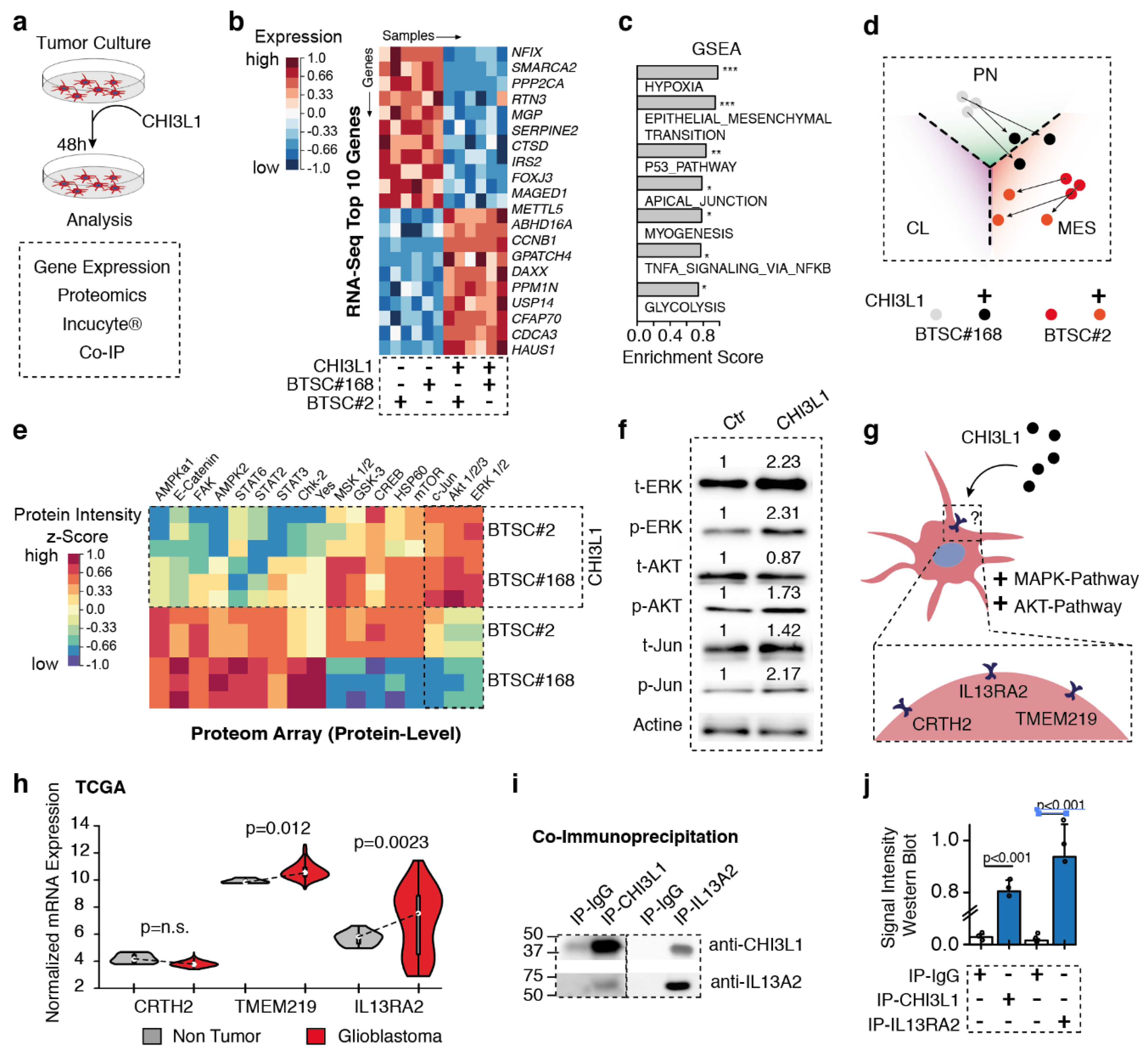 Cancers 11 01437 g003