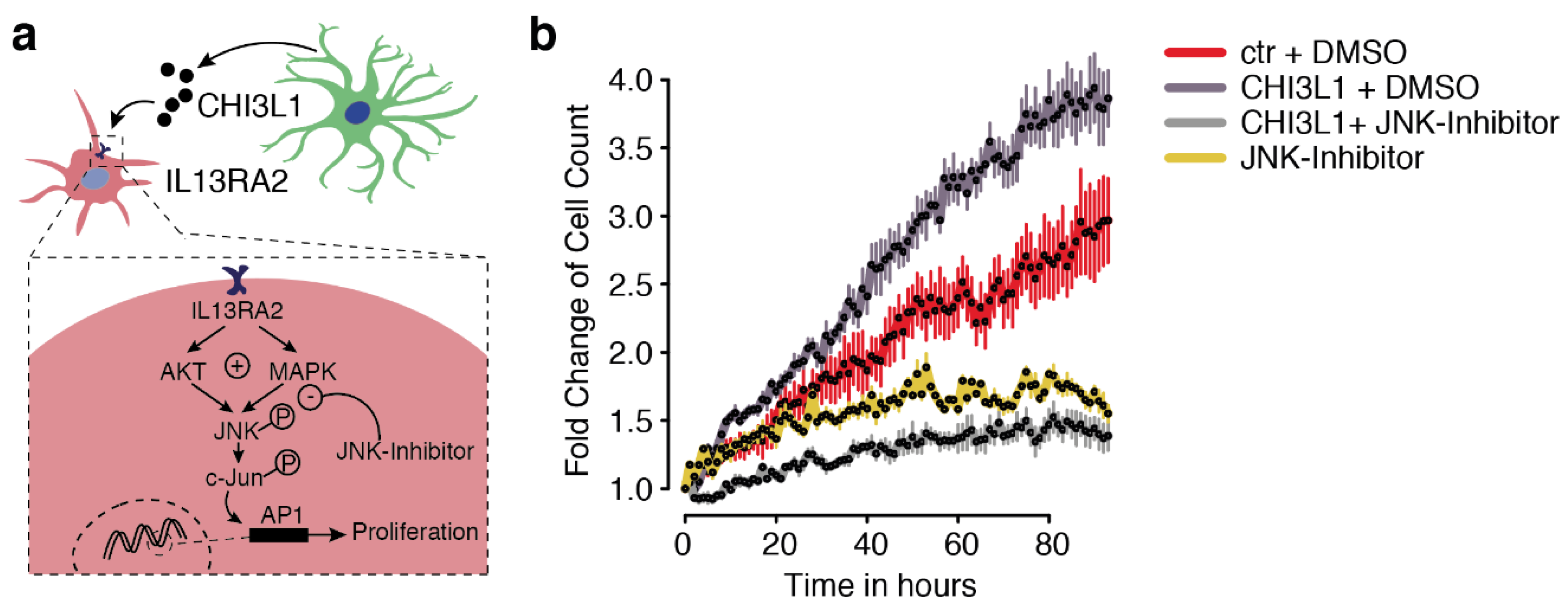 Cancers 11 01437 g004