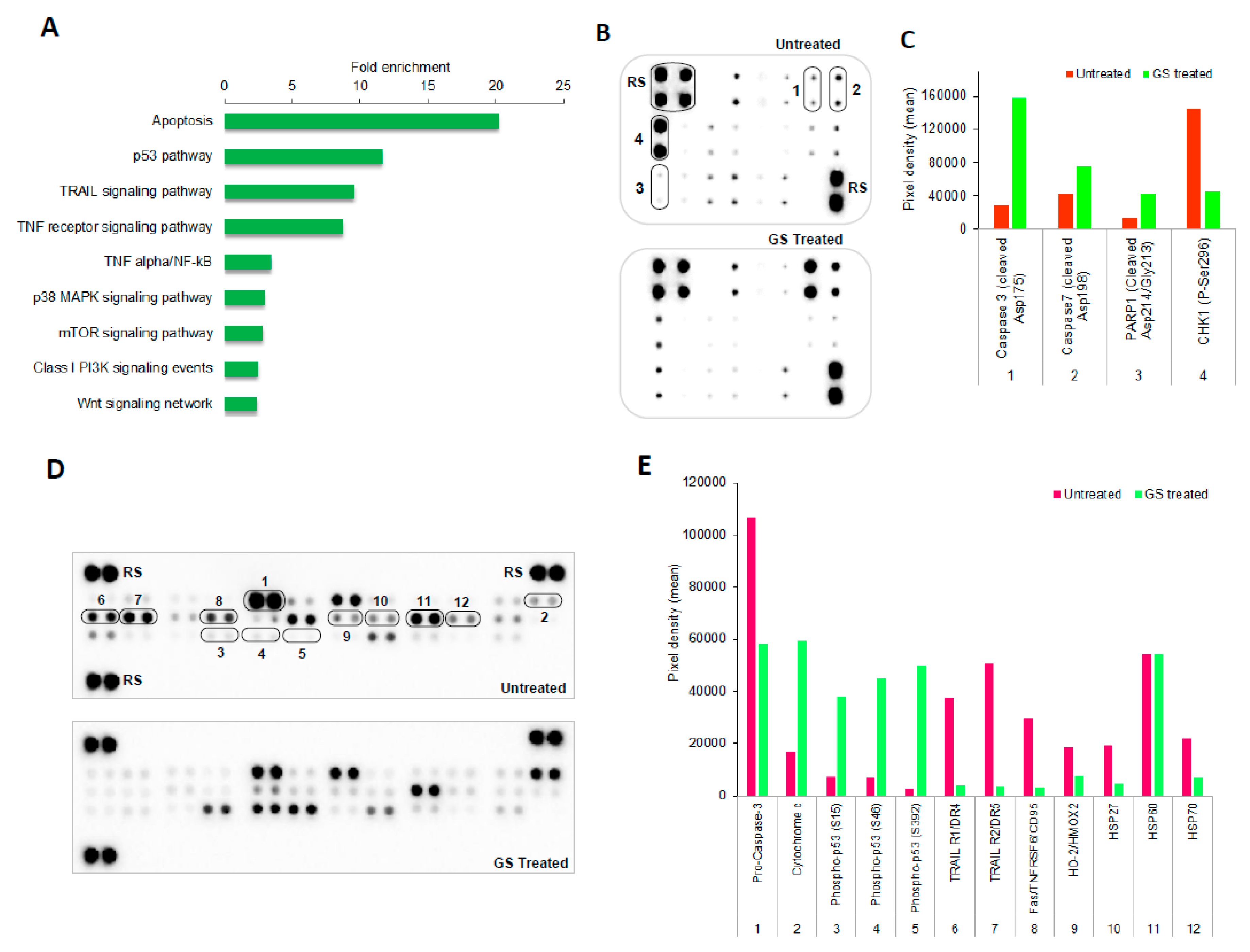 Cancers 11 01478 g006a