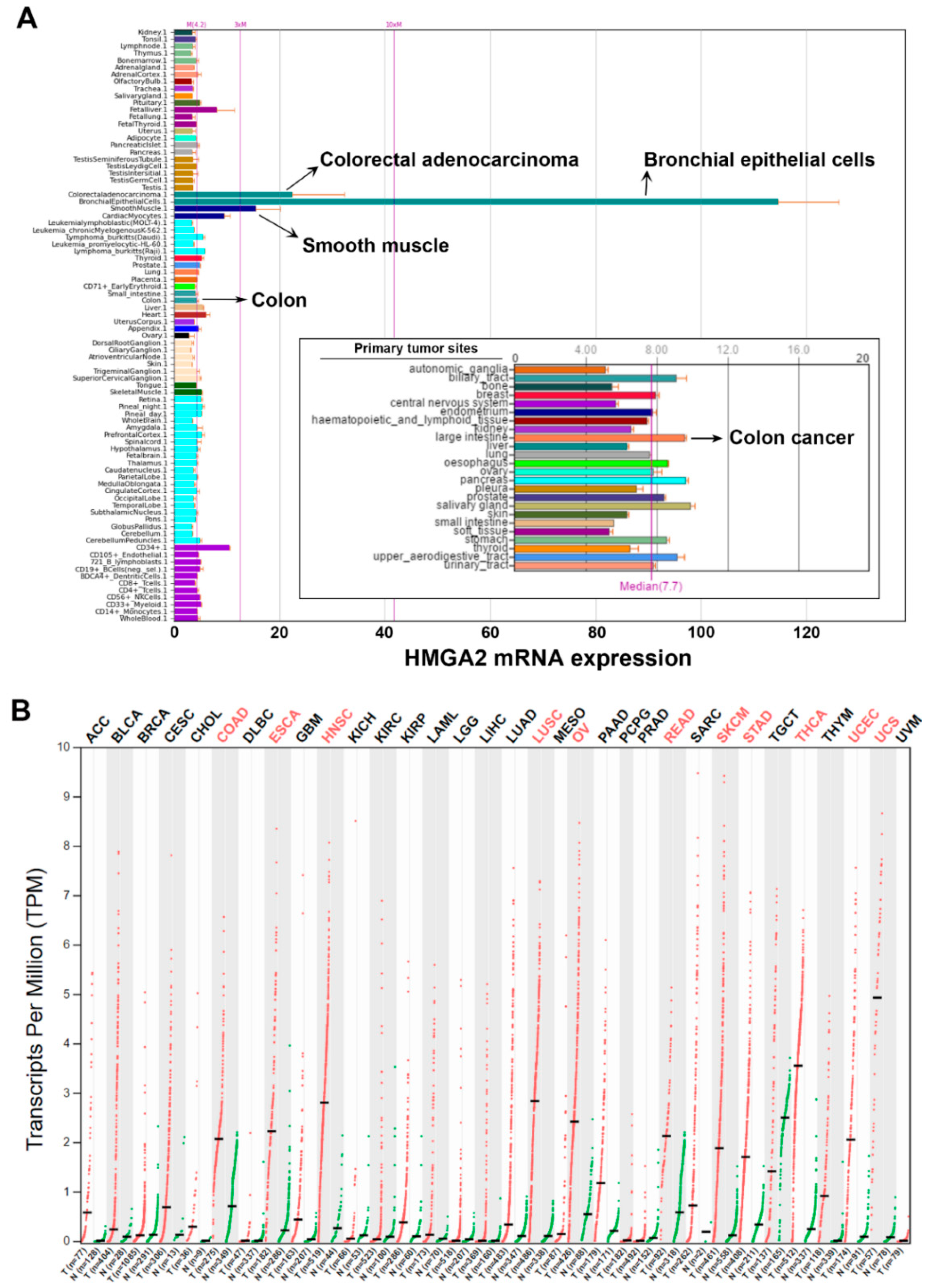 Cancers 11 01482 g001