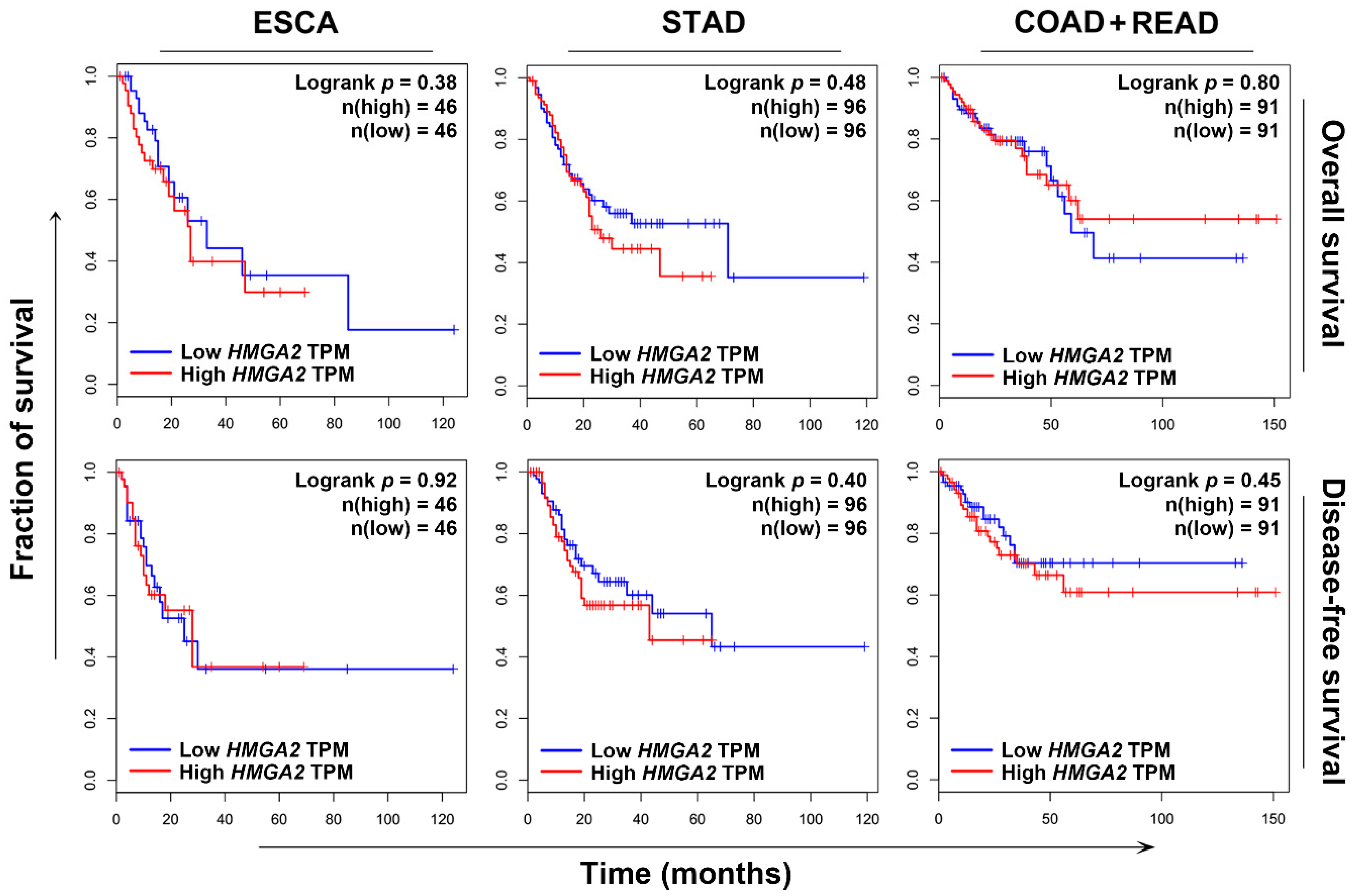 Cancers 11 01482 g002