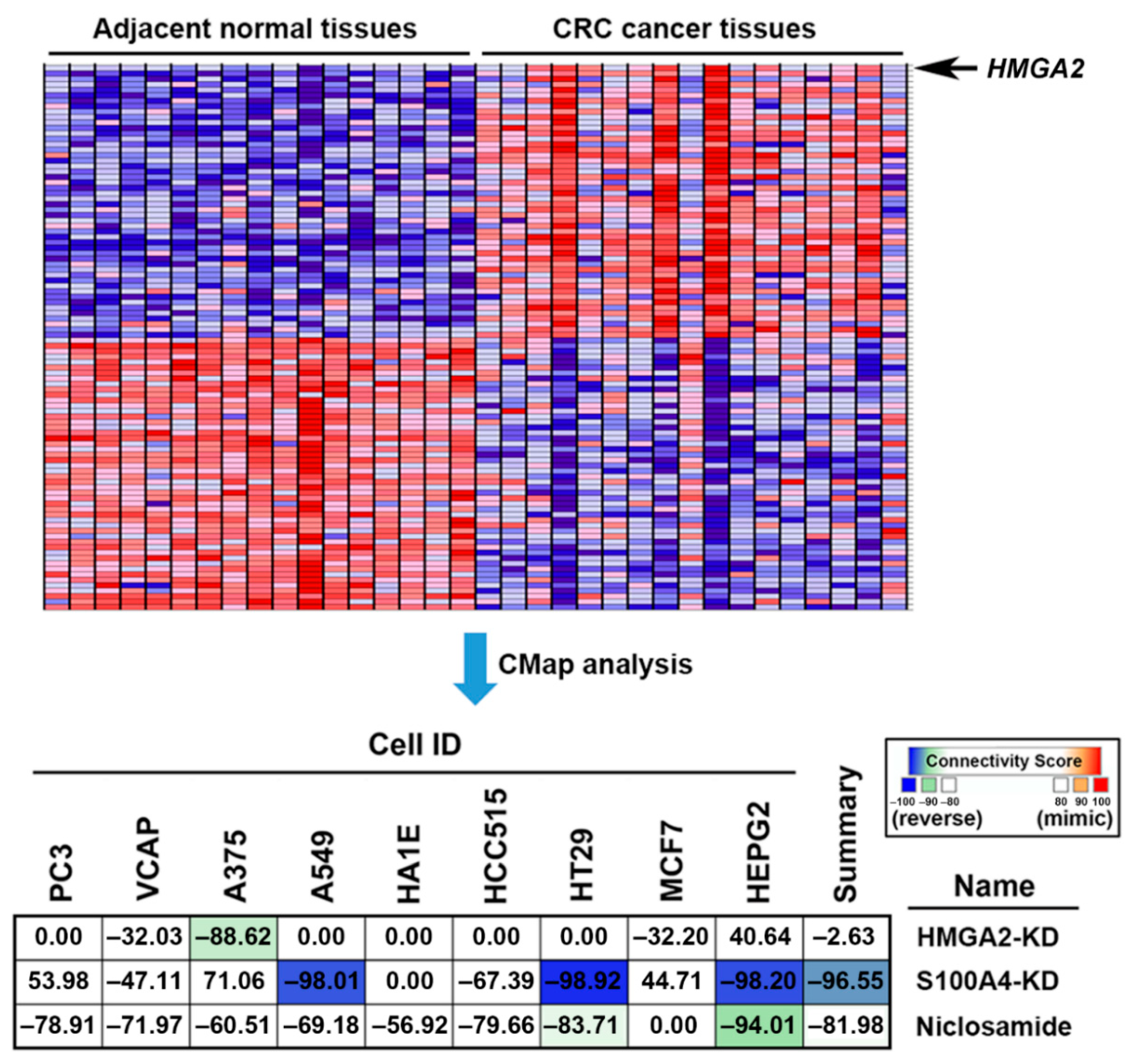 Cancers 11 01482 g006