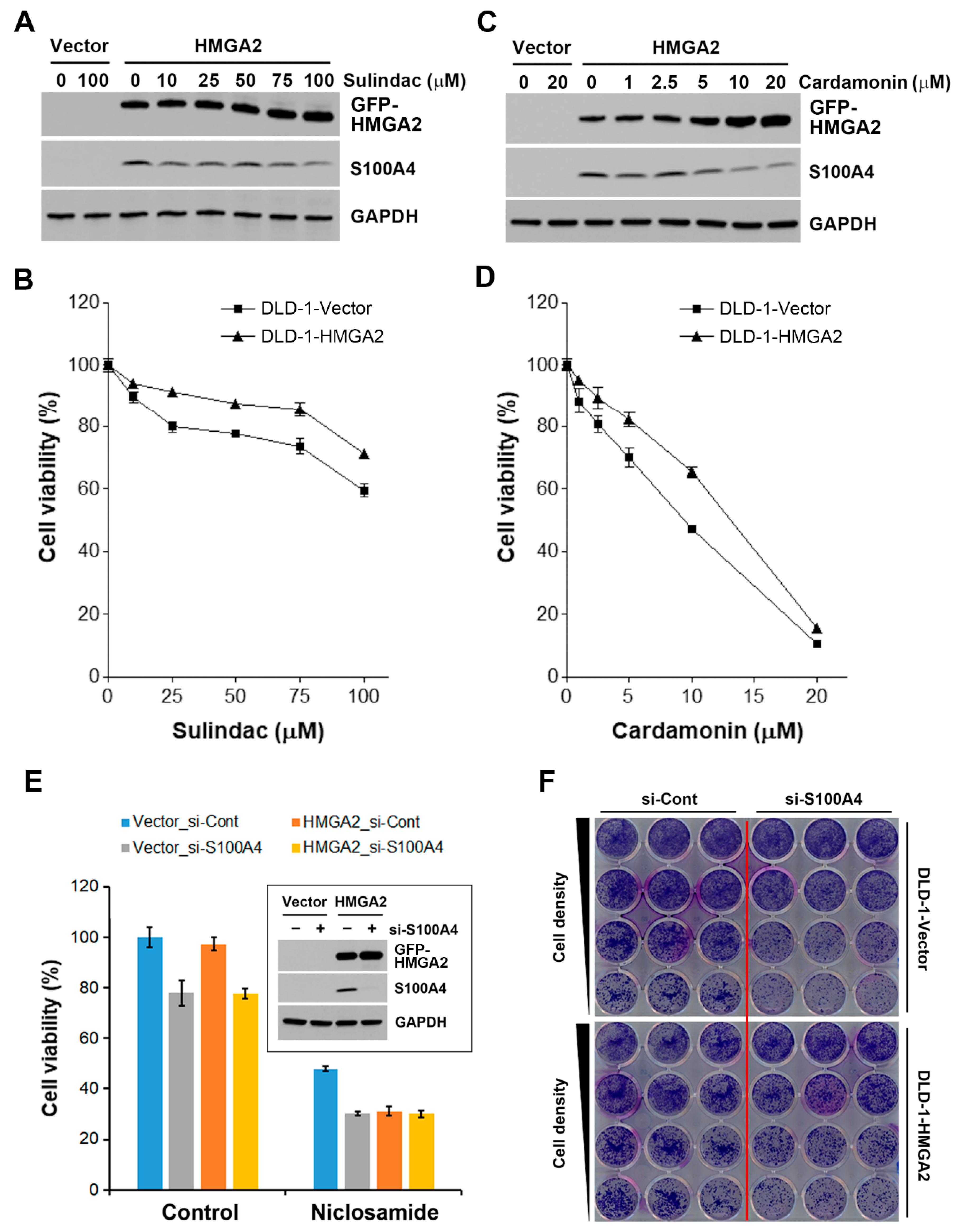 Cancers 11 01482 g008